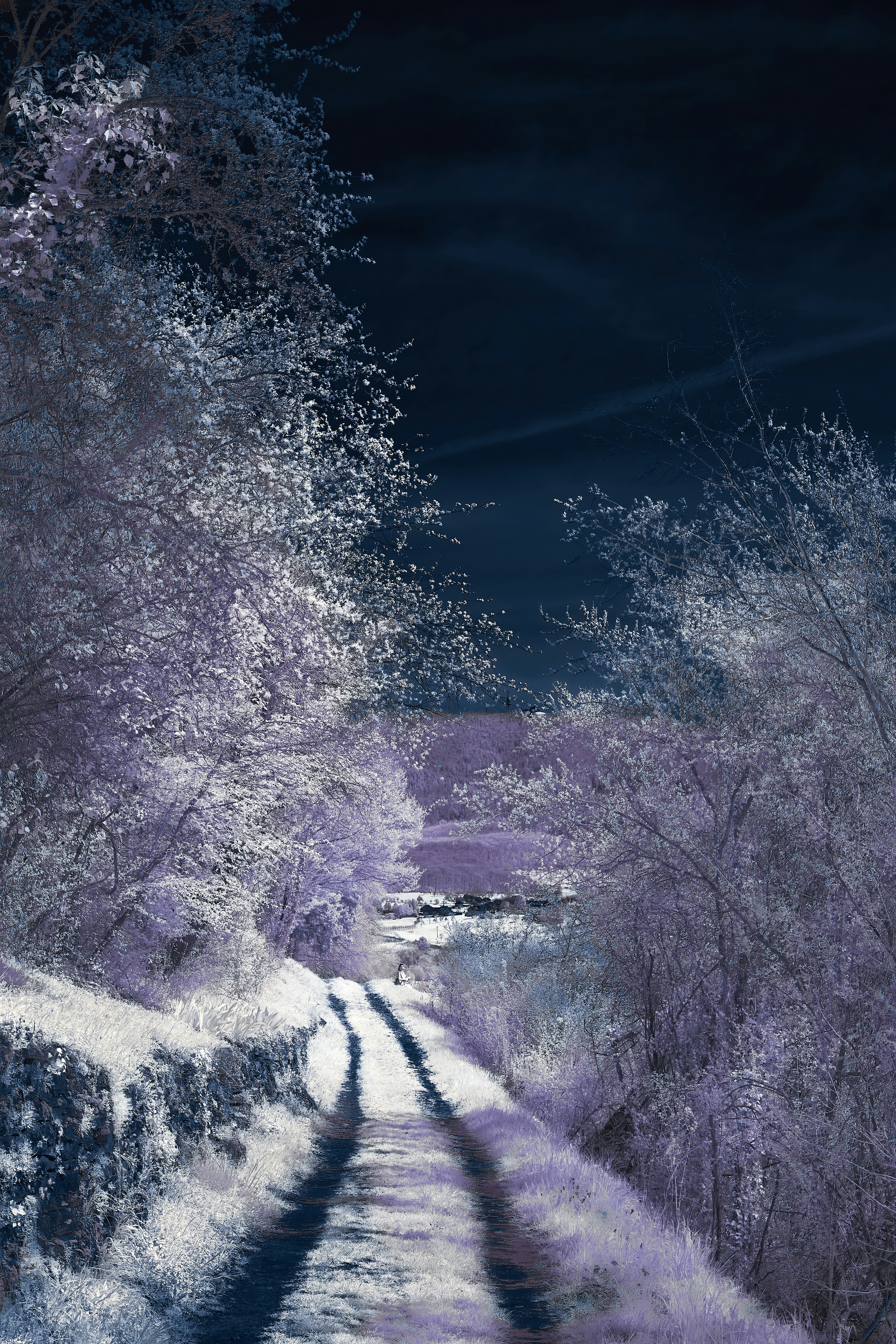 Photo by wolfgang_hasselmann