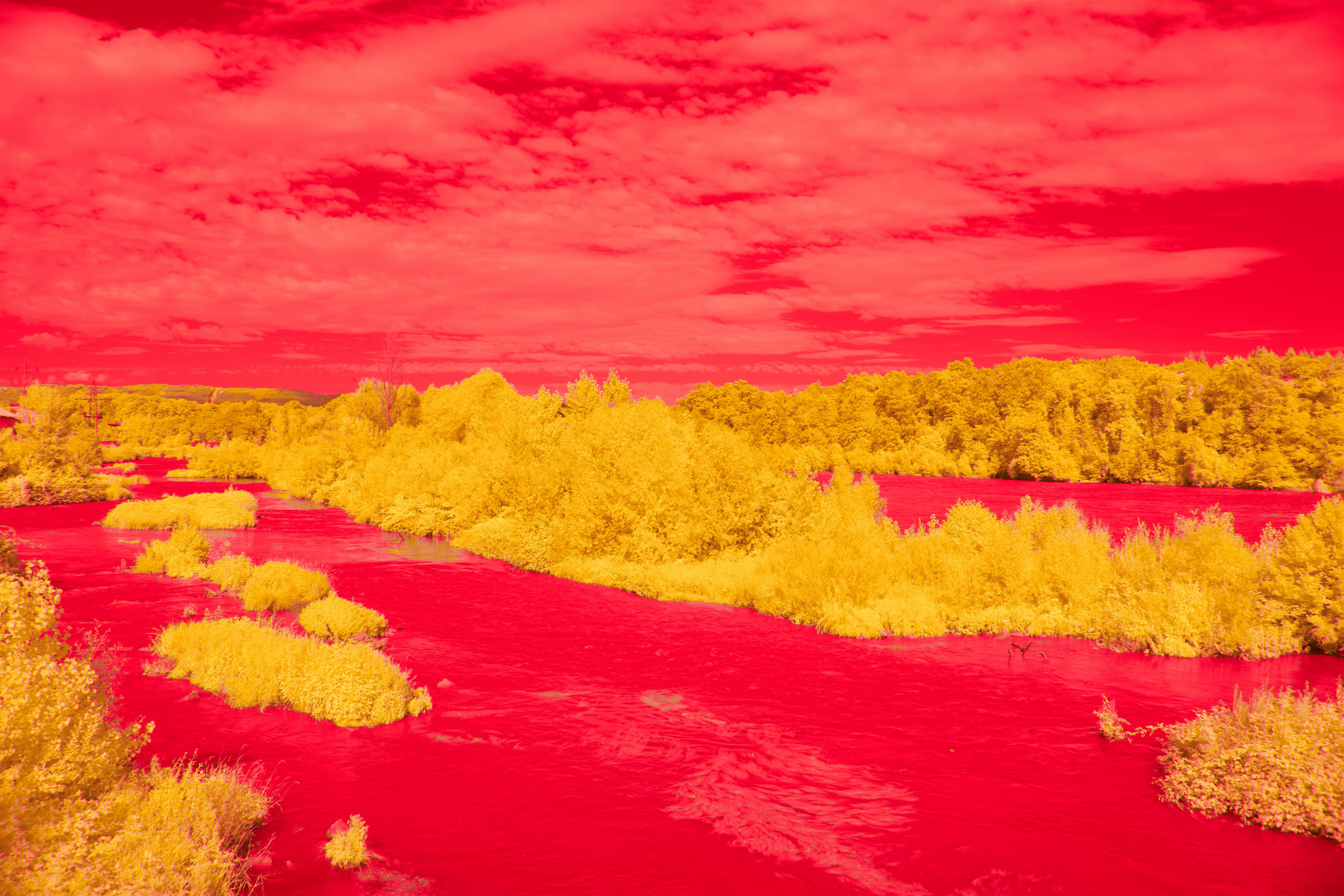 Photo by wolfgang_hasselmann