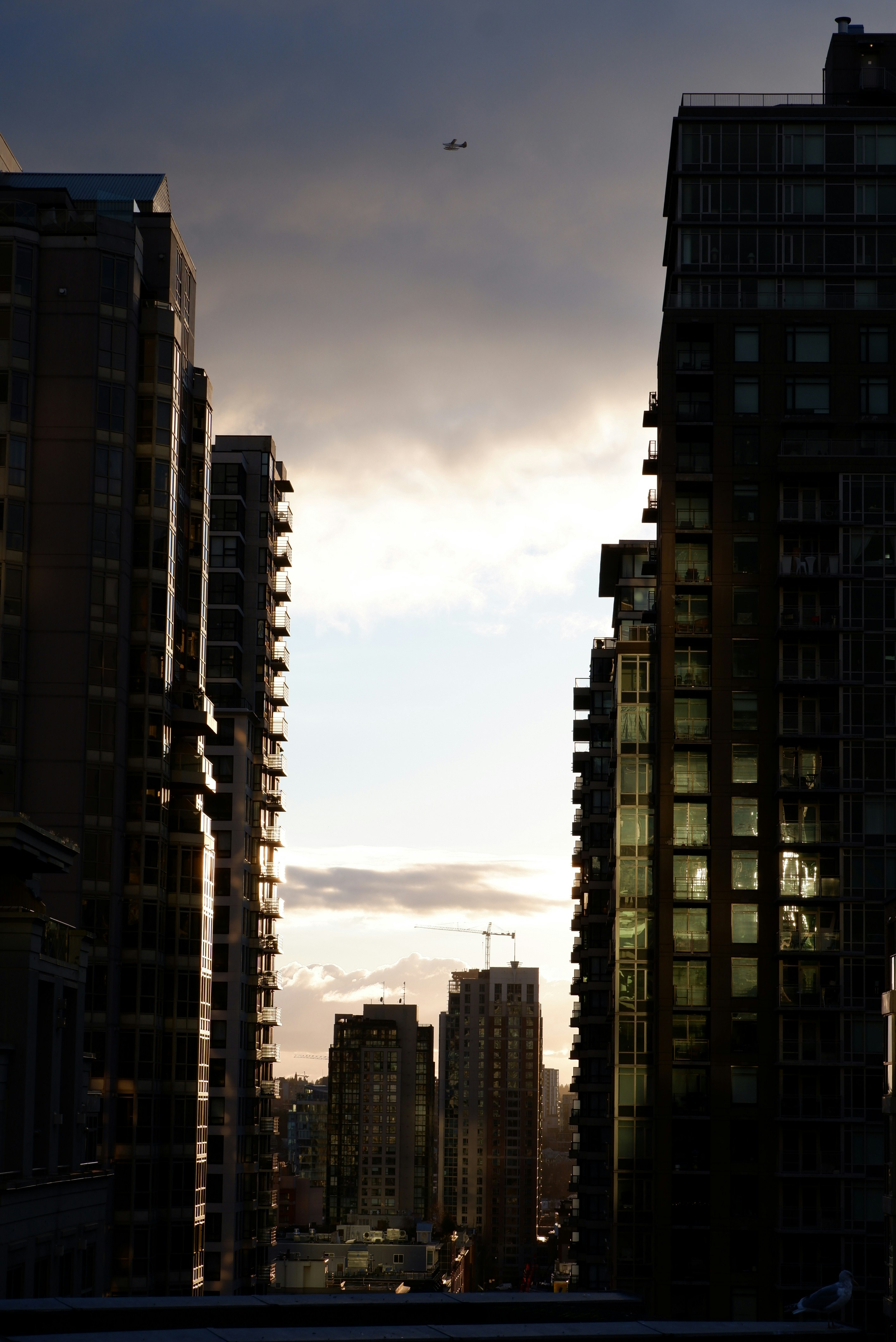 Photo by itsuka_iwaki