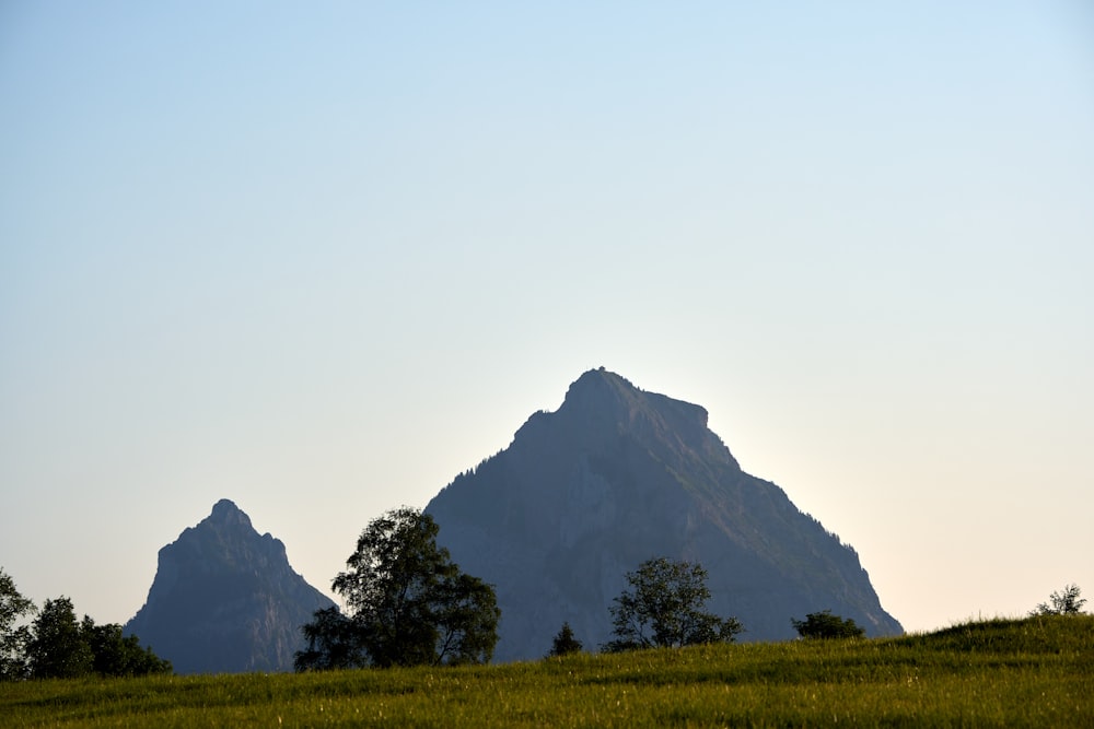 a grassy field with a mountain in the background