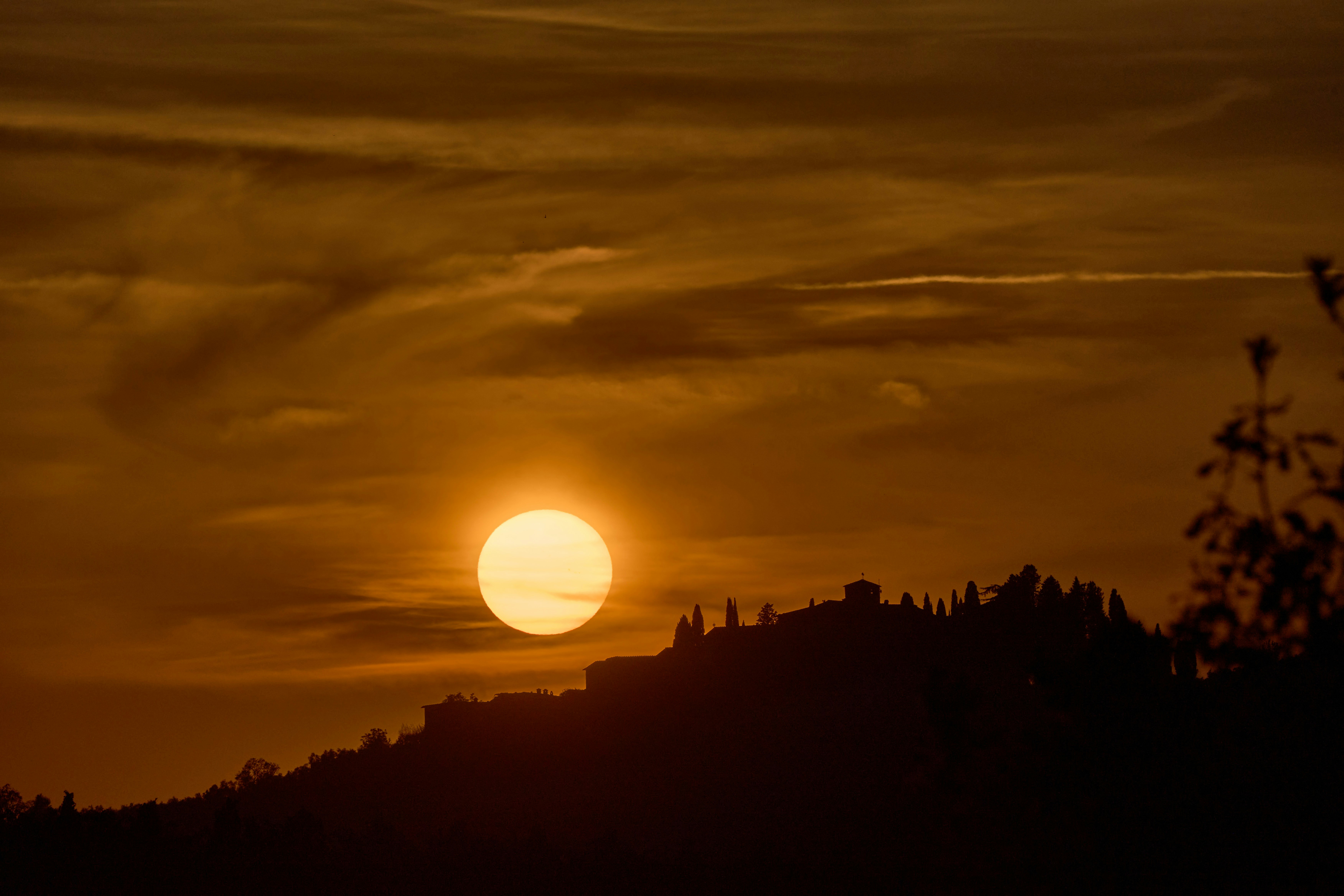 Photo by wolfgang_hasselmann