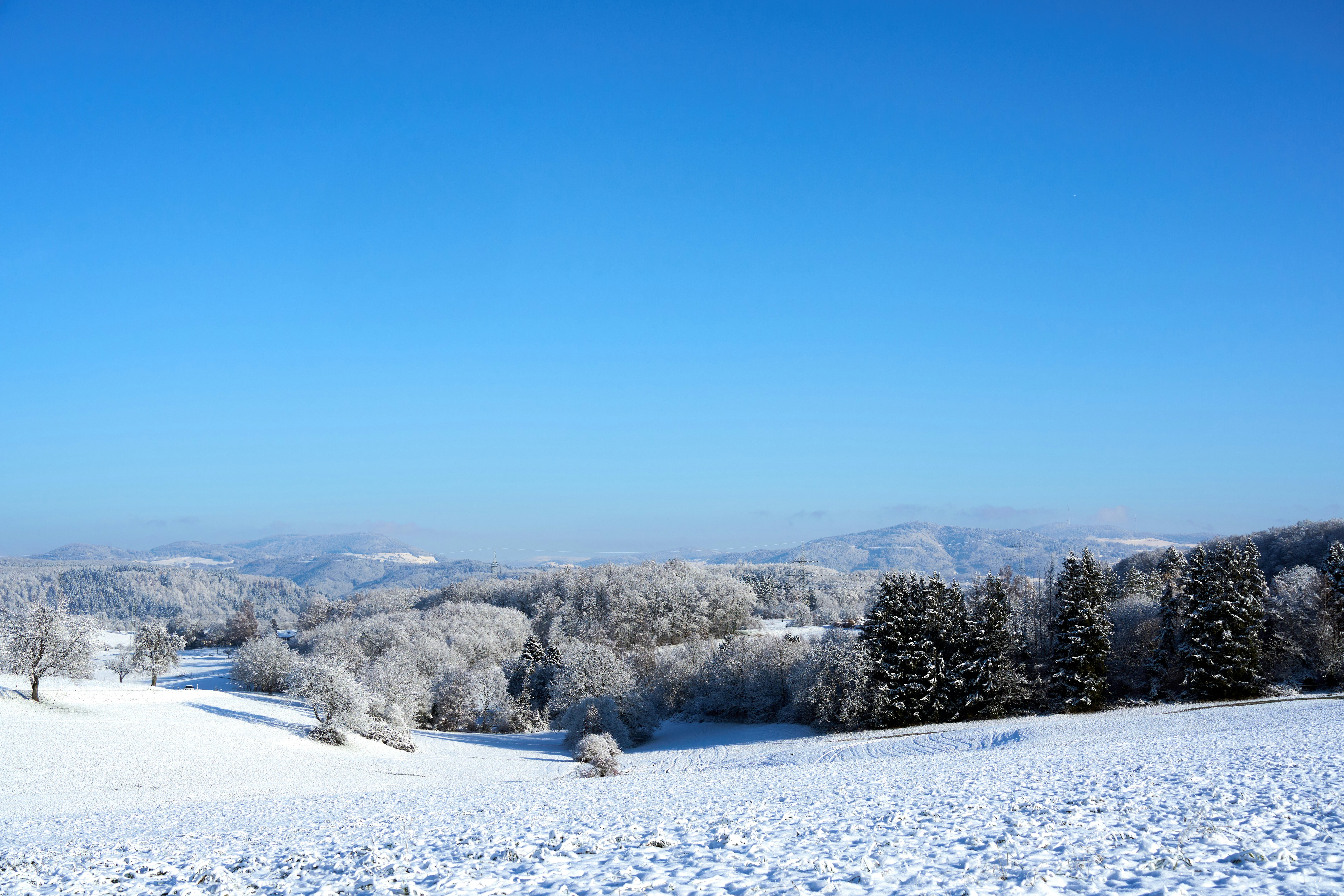 Photo by wolfgang_hasselmann