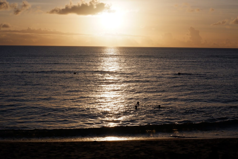 a couple of people swimming in the ocean at sunset