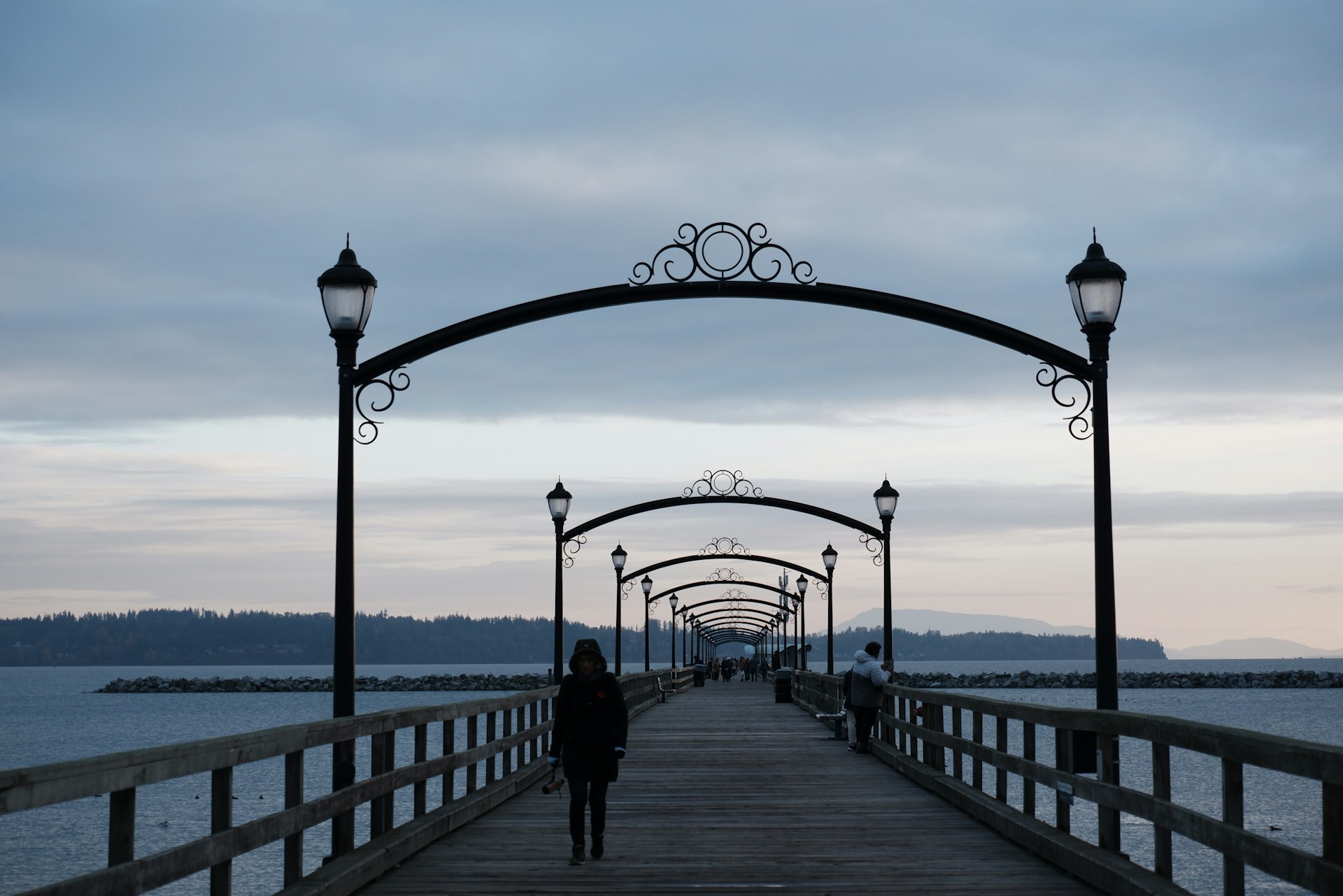 a person walking across a bridge over a body of water