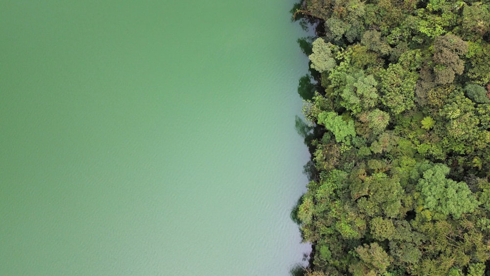 an aerial view of a lake surrounded by trees