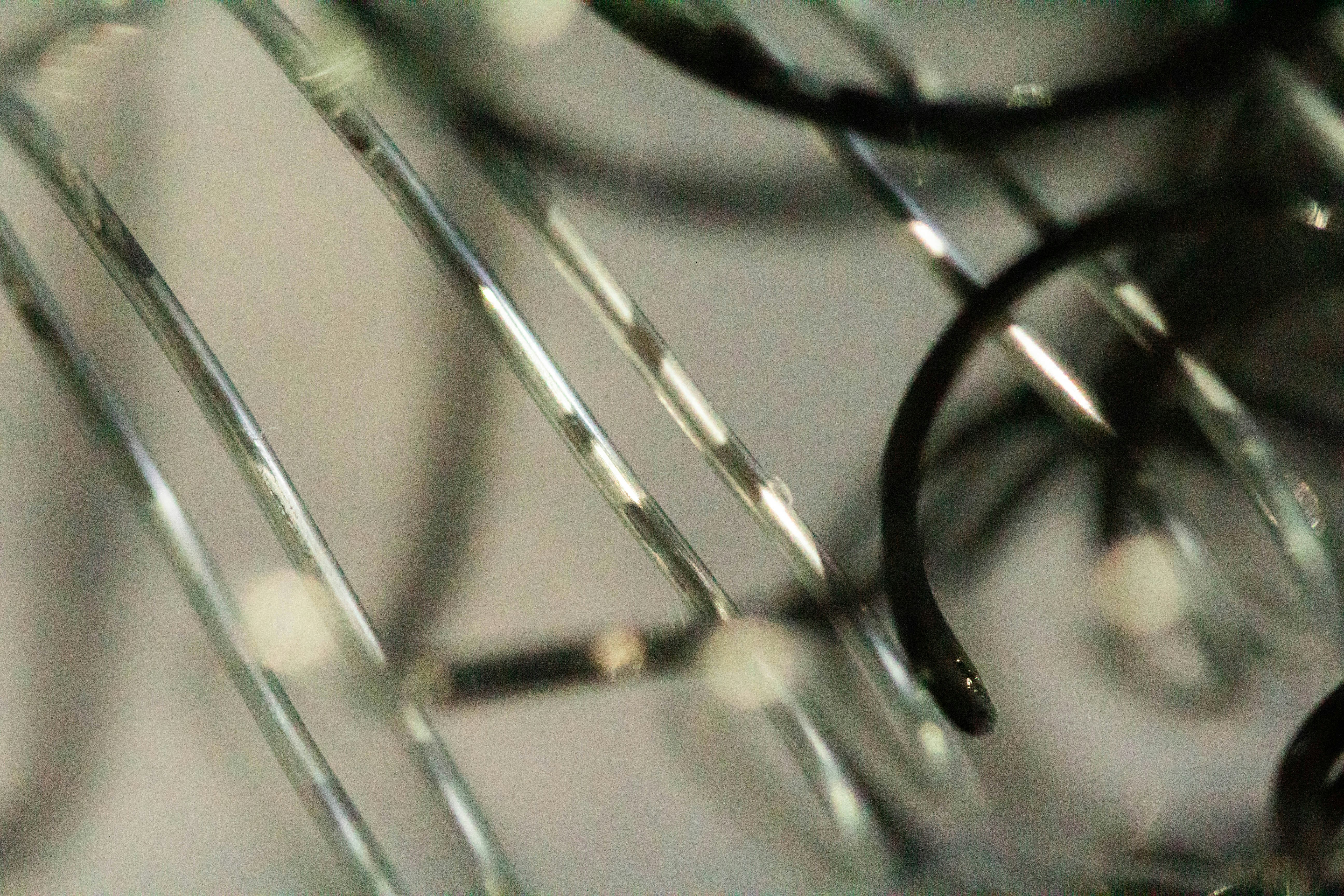 Photo by alexgallegos