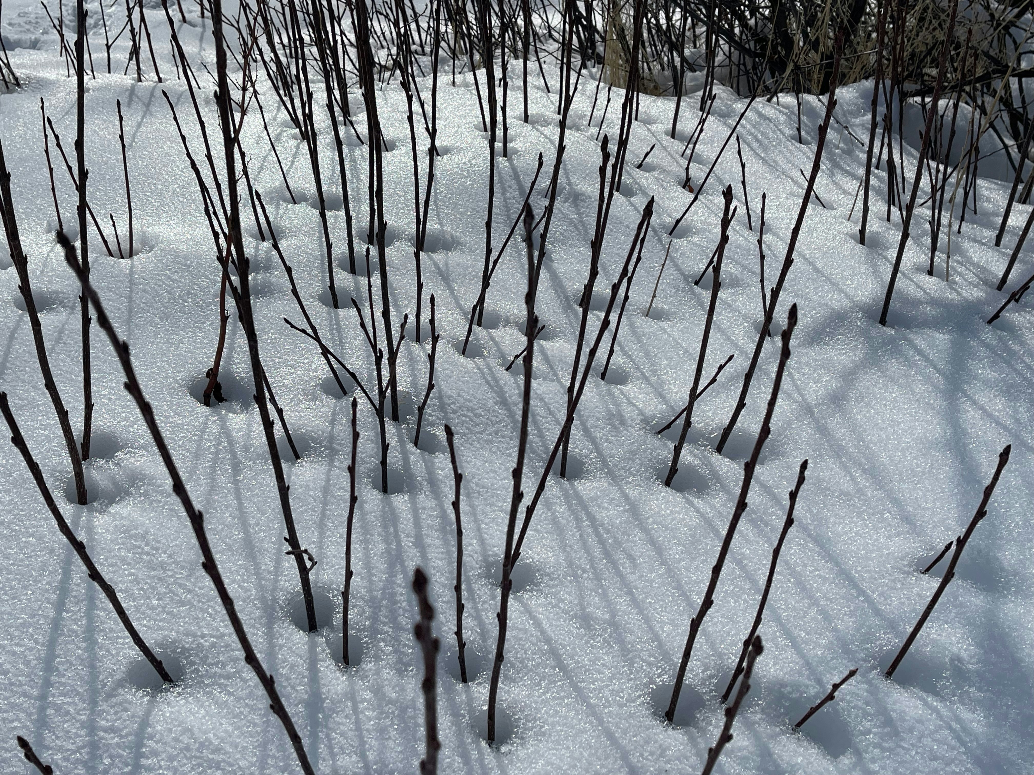 Photo by mo_whitaker