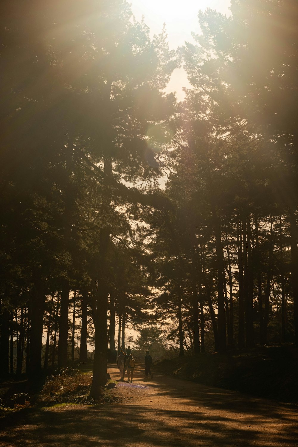 a couple of people walking down a dirt road