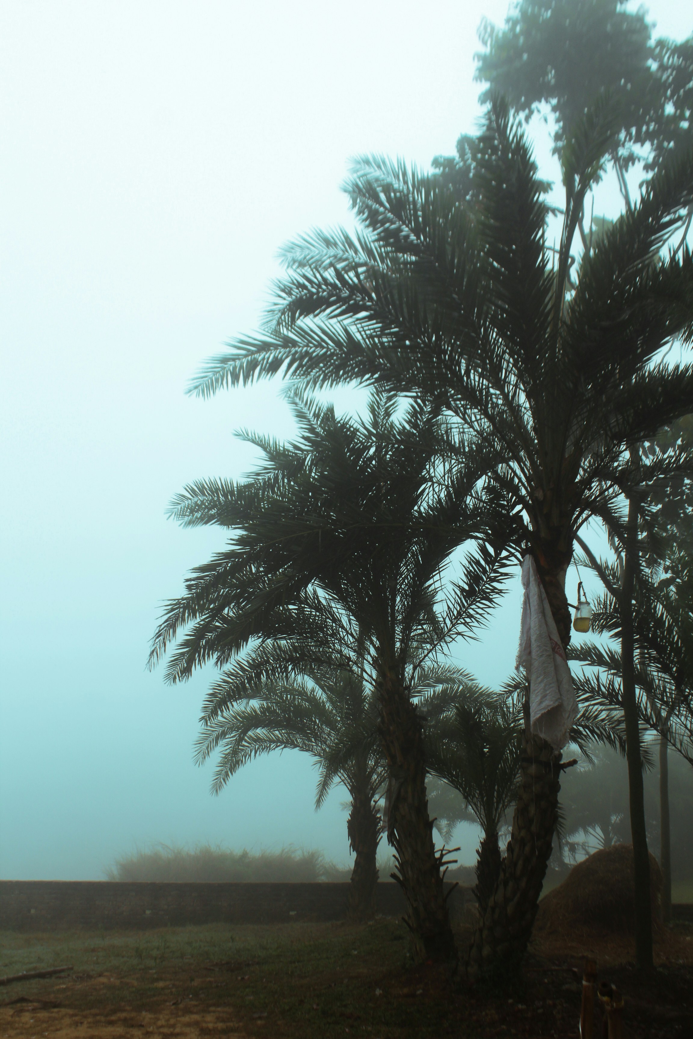 Photo by scorpionn69