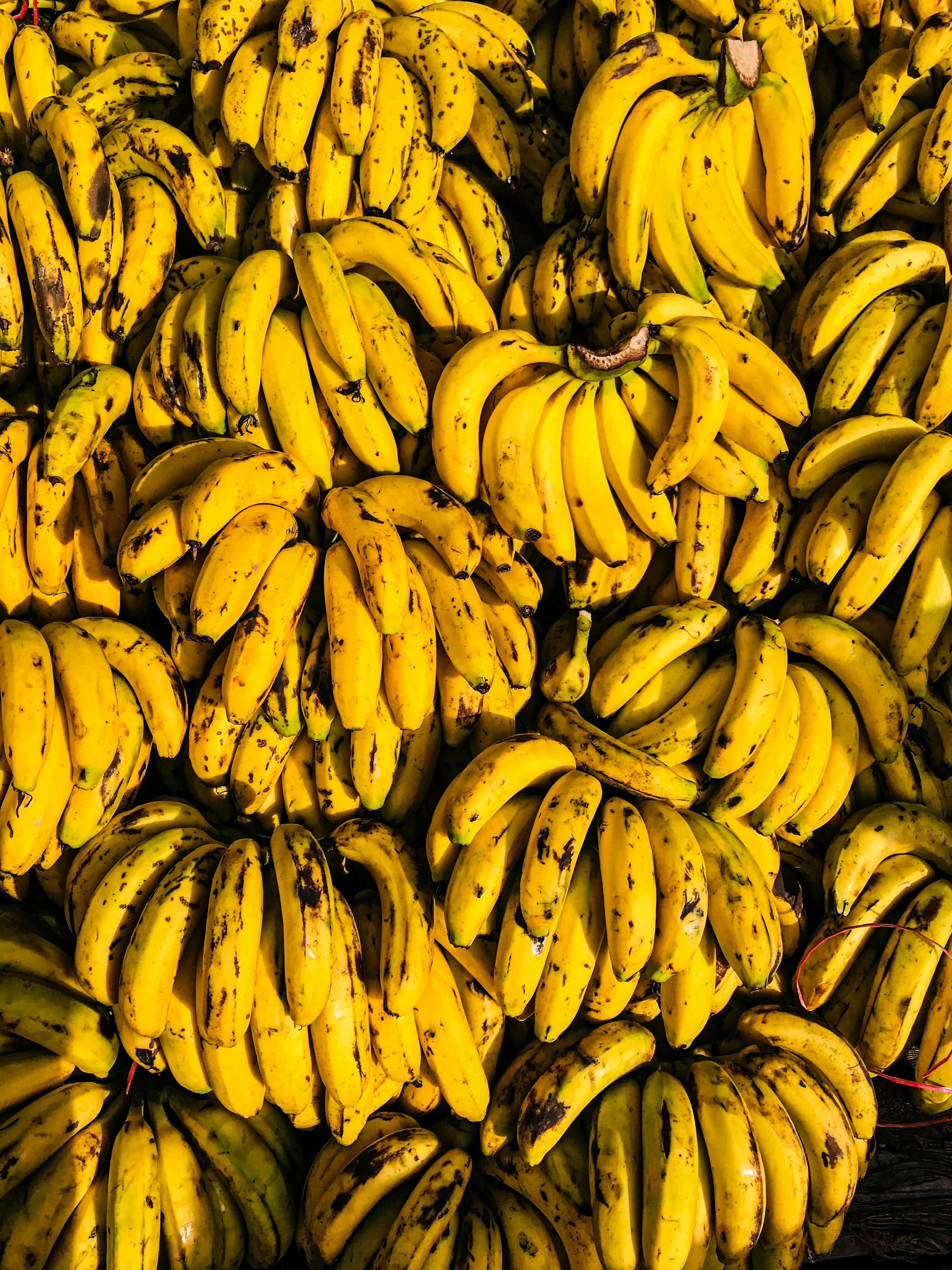 Organic Bananas