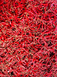 a close up of a bunch of red peppers