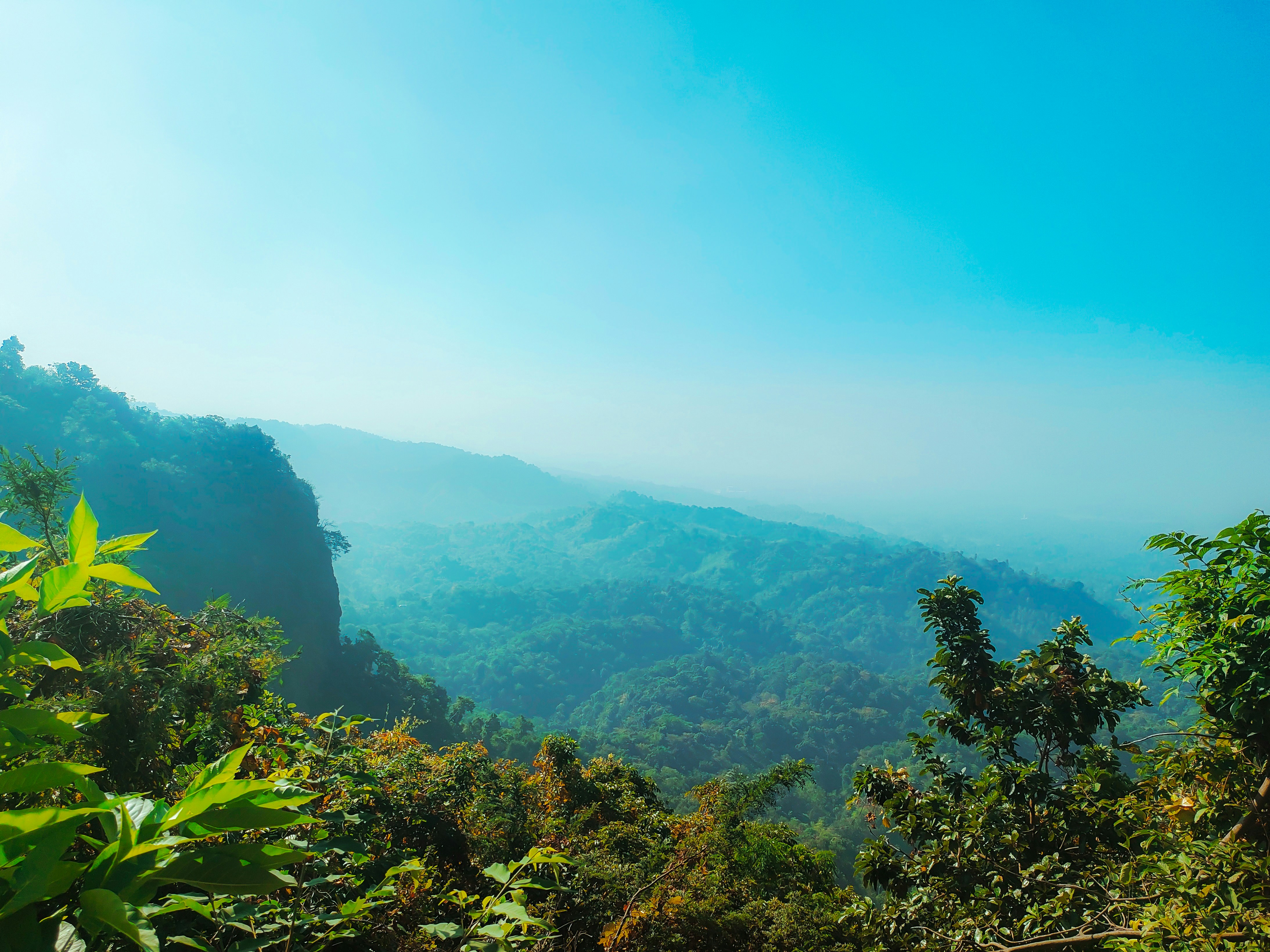 Photo by scorpionn69