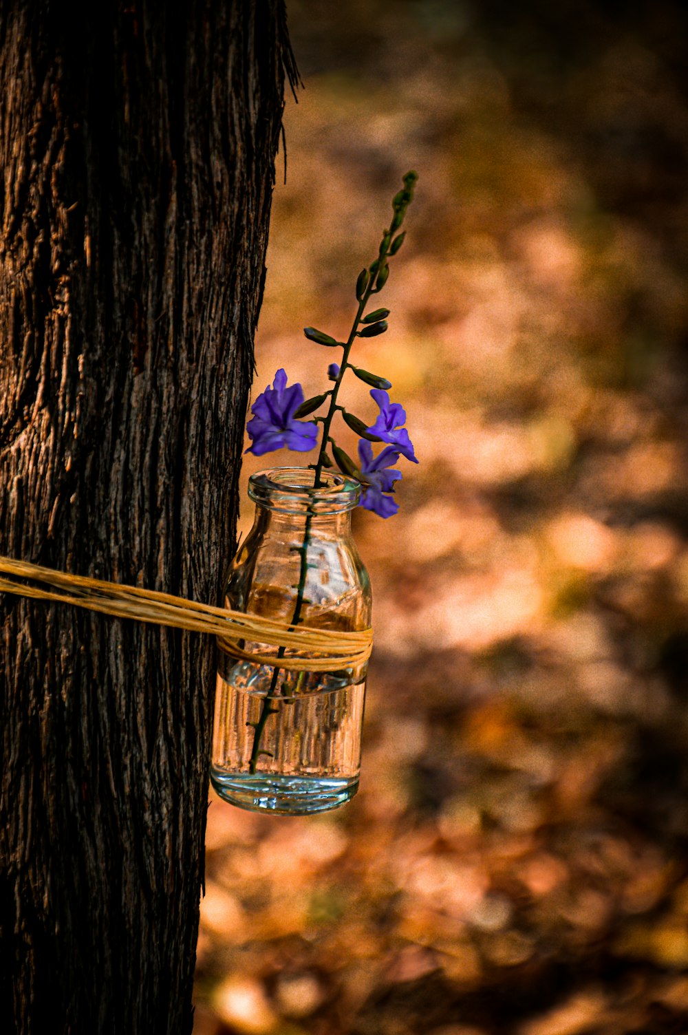 a mason jar hanging from a tree with flowers in it