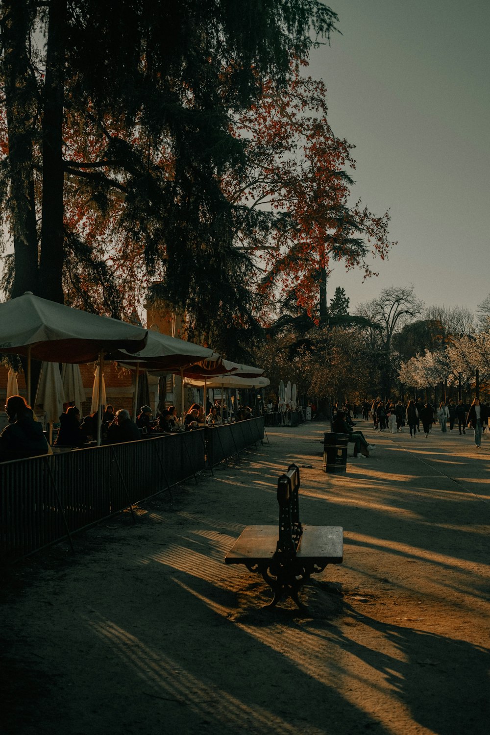 a group of people sitting under umbrellas in a park