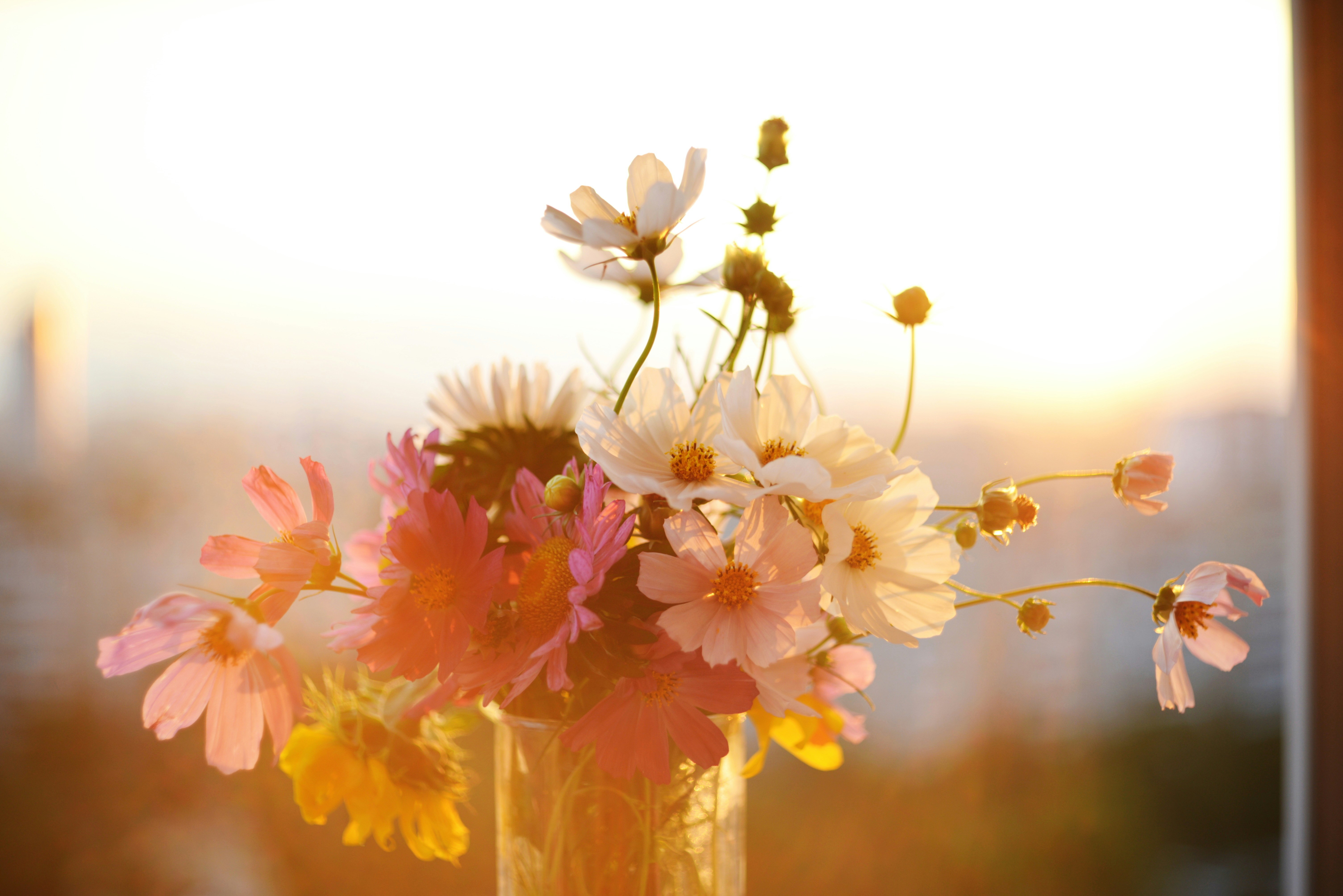 Photo by cherstve_pechivo