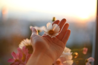 Encuentro con tus propias emociones a través de una meditación guiada. Conócete a tí mismo.