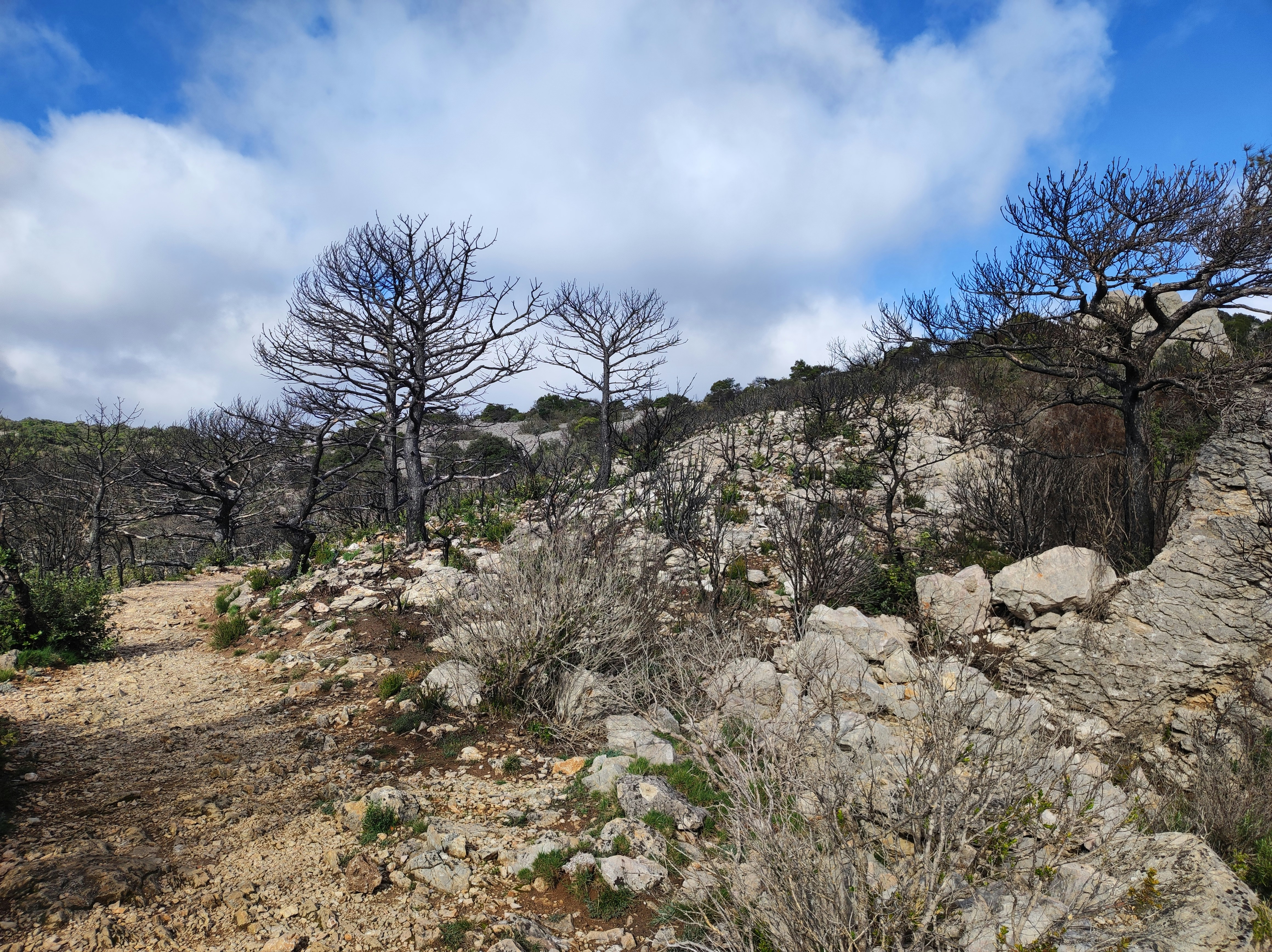 Photo by nicolas_barbault