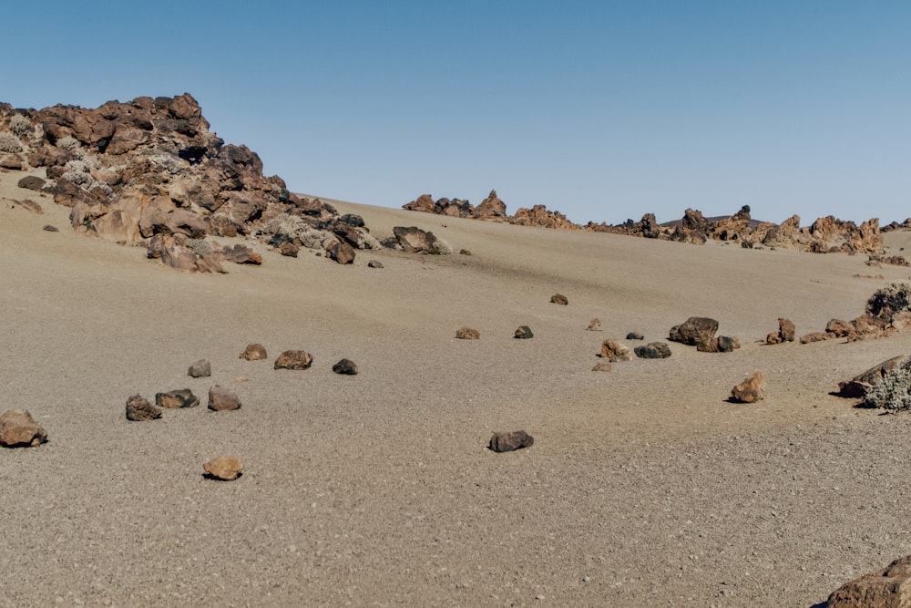 a desert with rocks and plants growing out of it