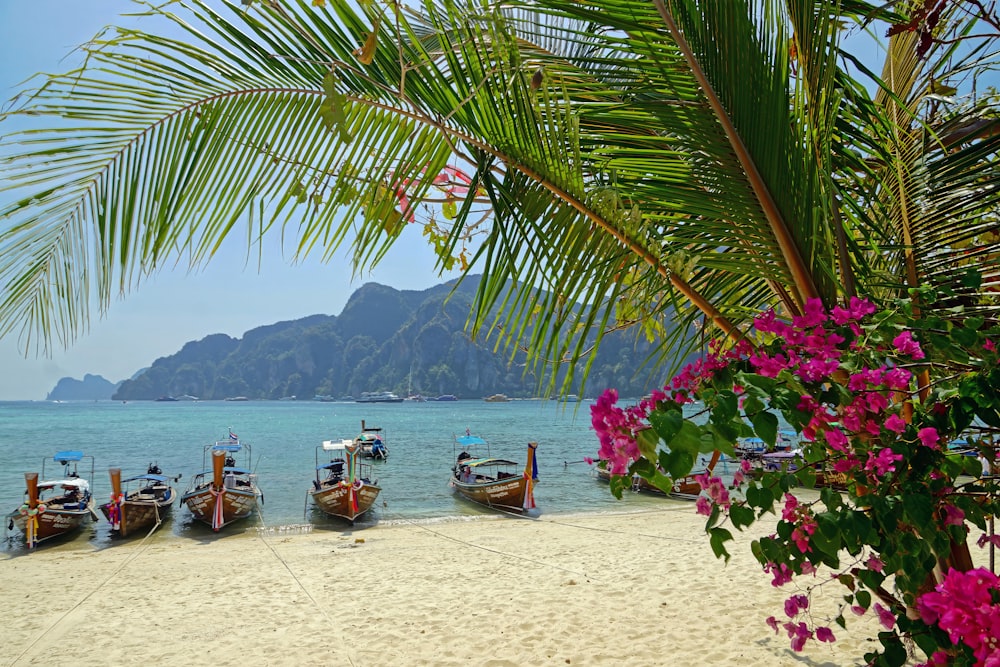 a group of boats sitting on top of a sandy beach