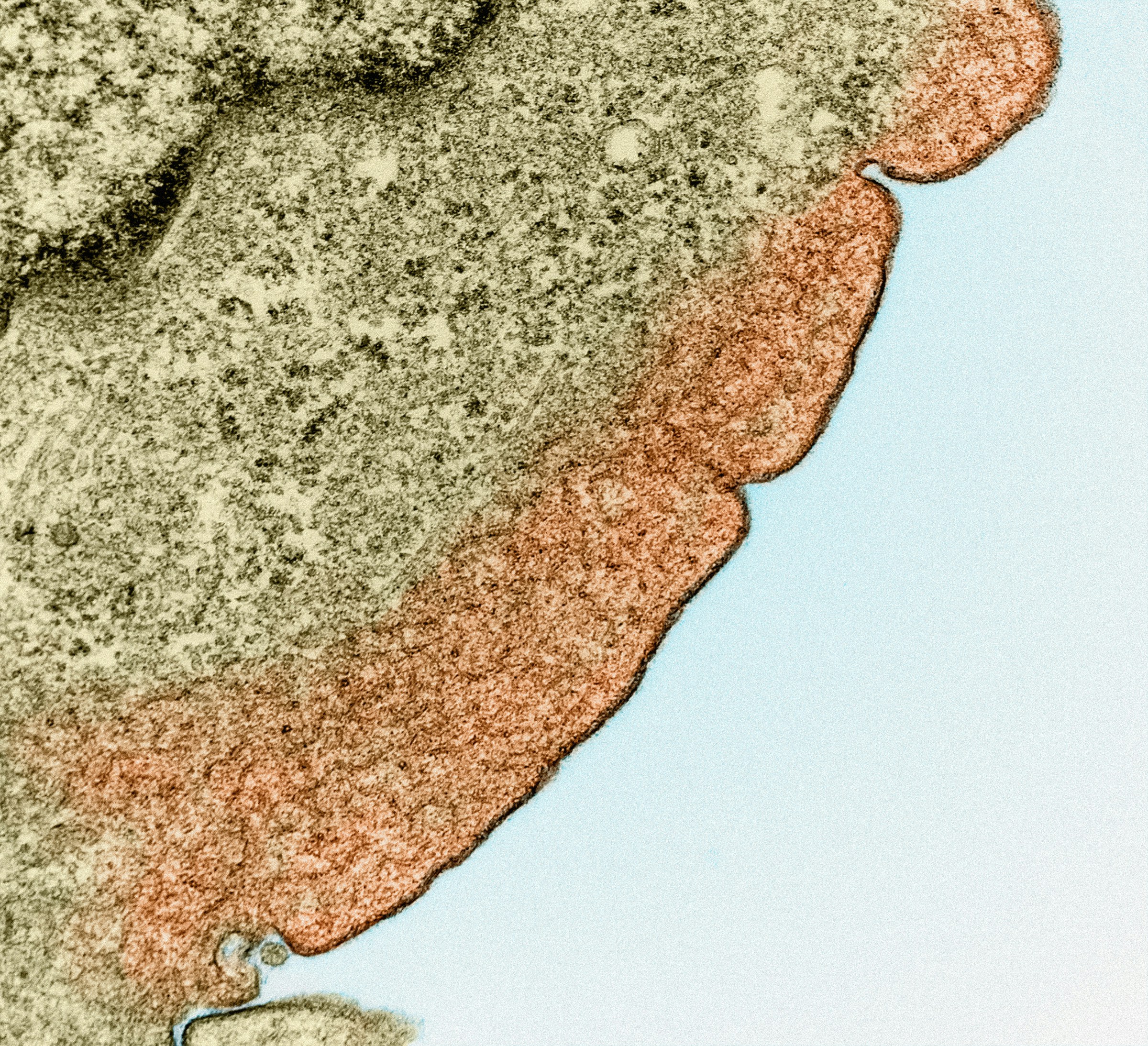 a close up of a piece of paper with a blue sky in the background