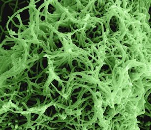 a close up view of a green substance