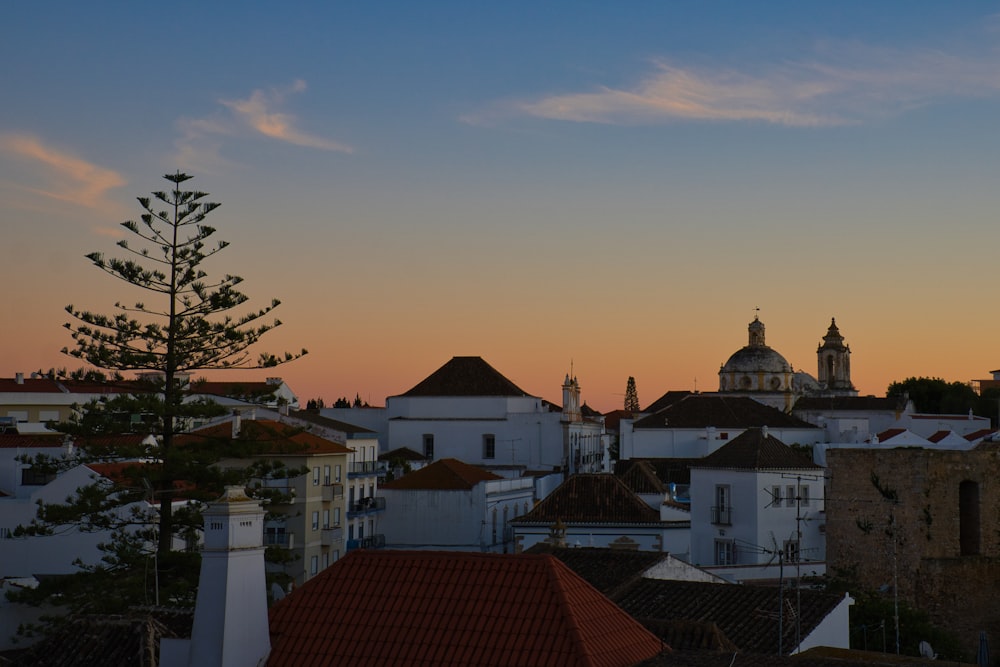 a view of a city at sunset with a tree in the foreground