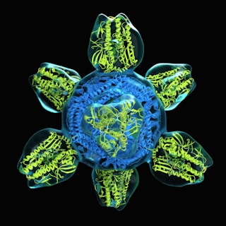an image of a blue and yellow flower