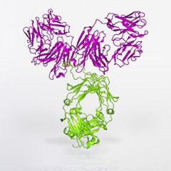 a purple and green string sculpture on a white surface