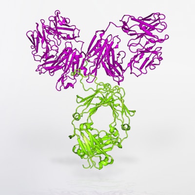 a purple and green string sculpture on a white surface