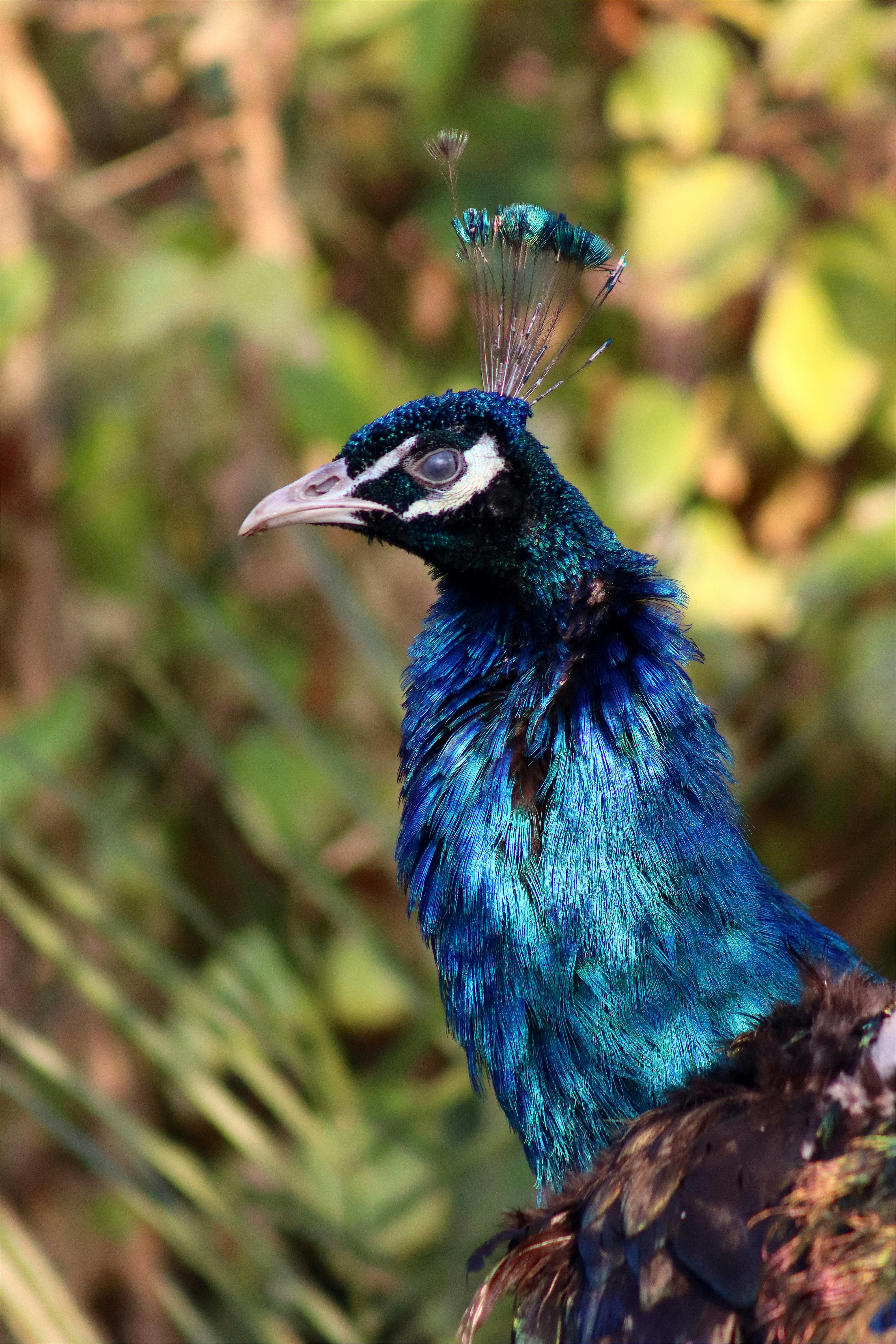 Photo by drphotographer152