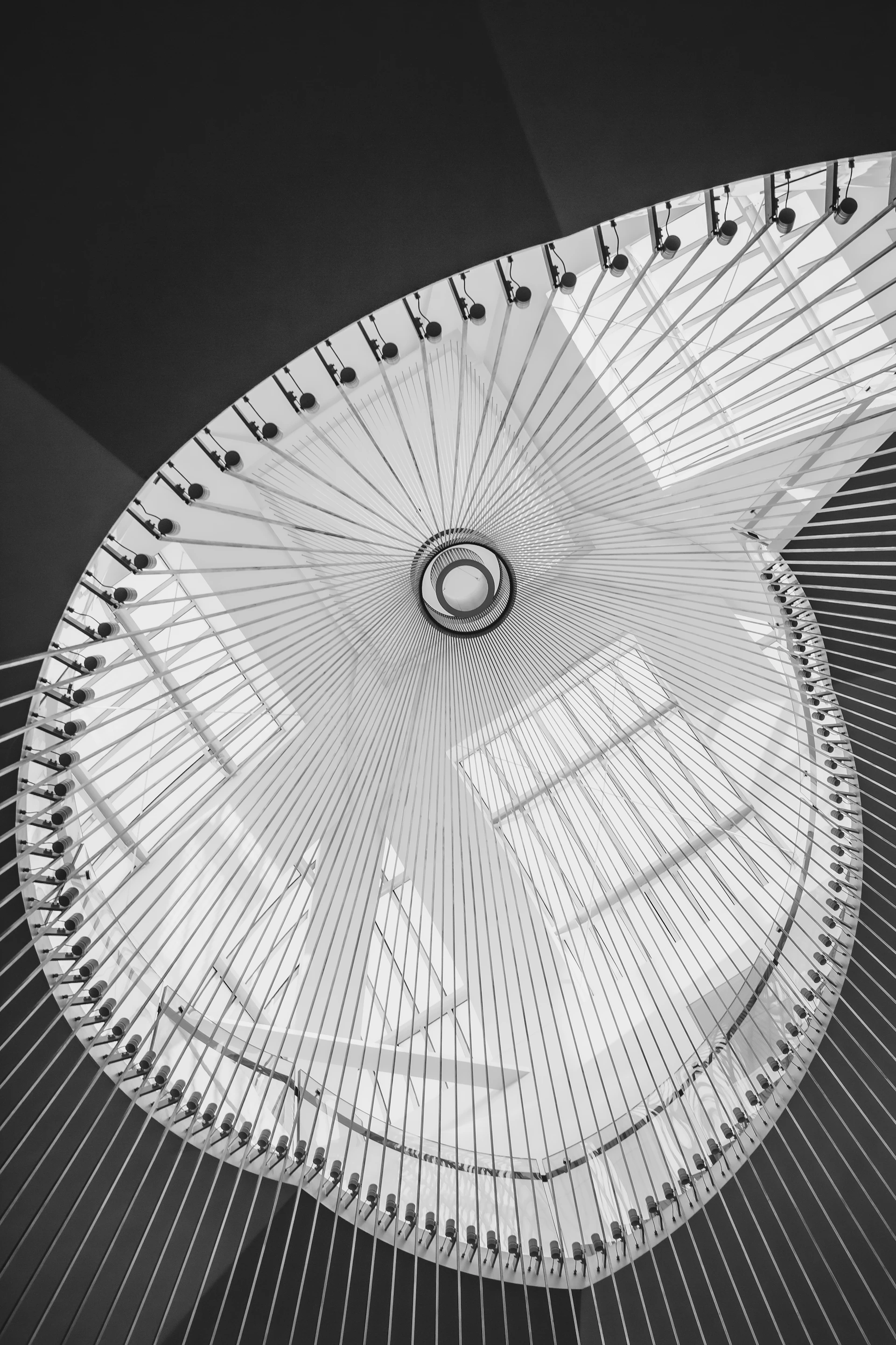 a black and white photo of the ceiling of a building
