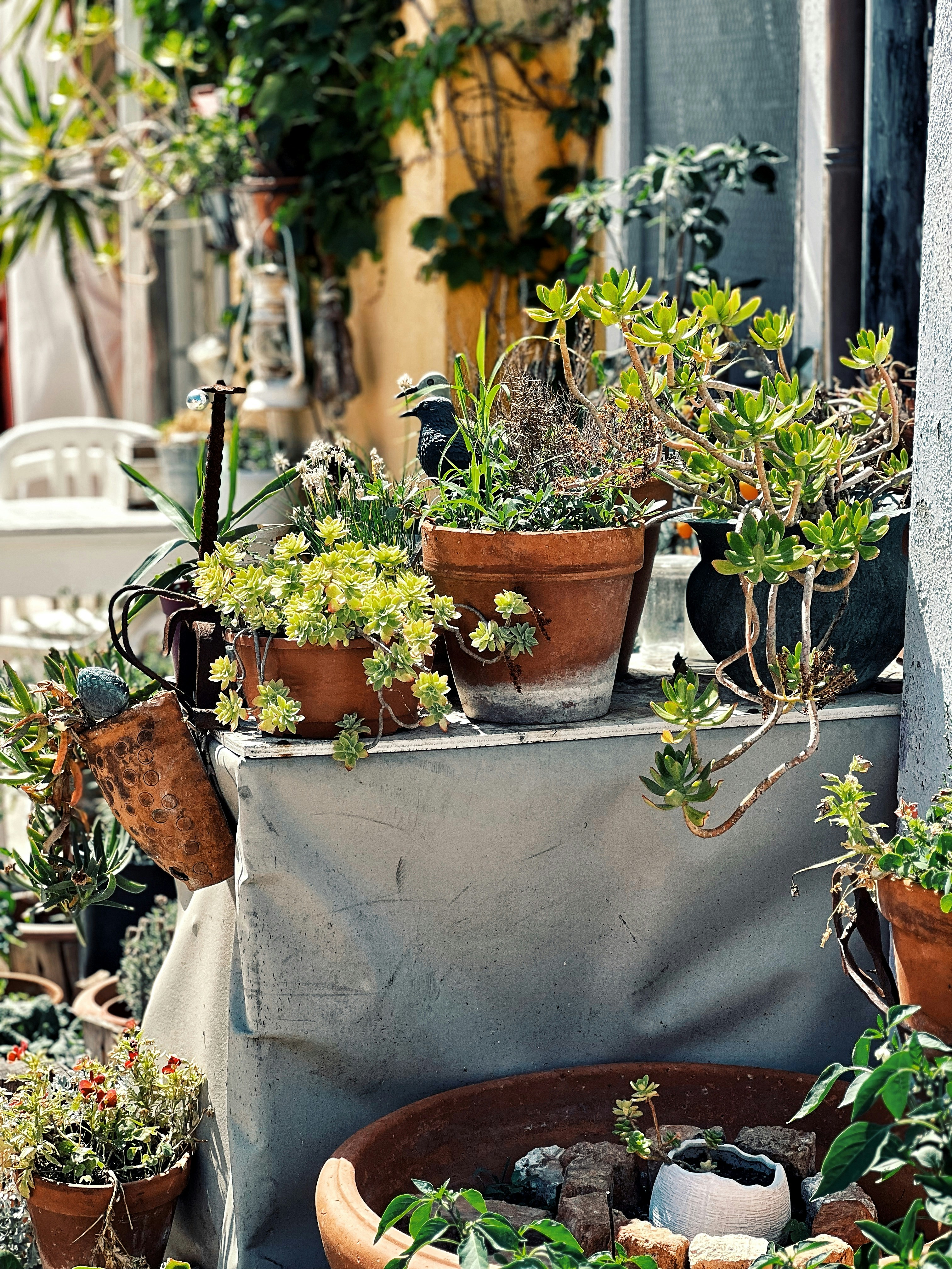 Photo by alexandrugh