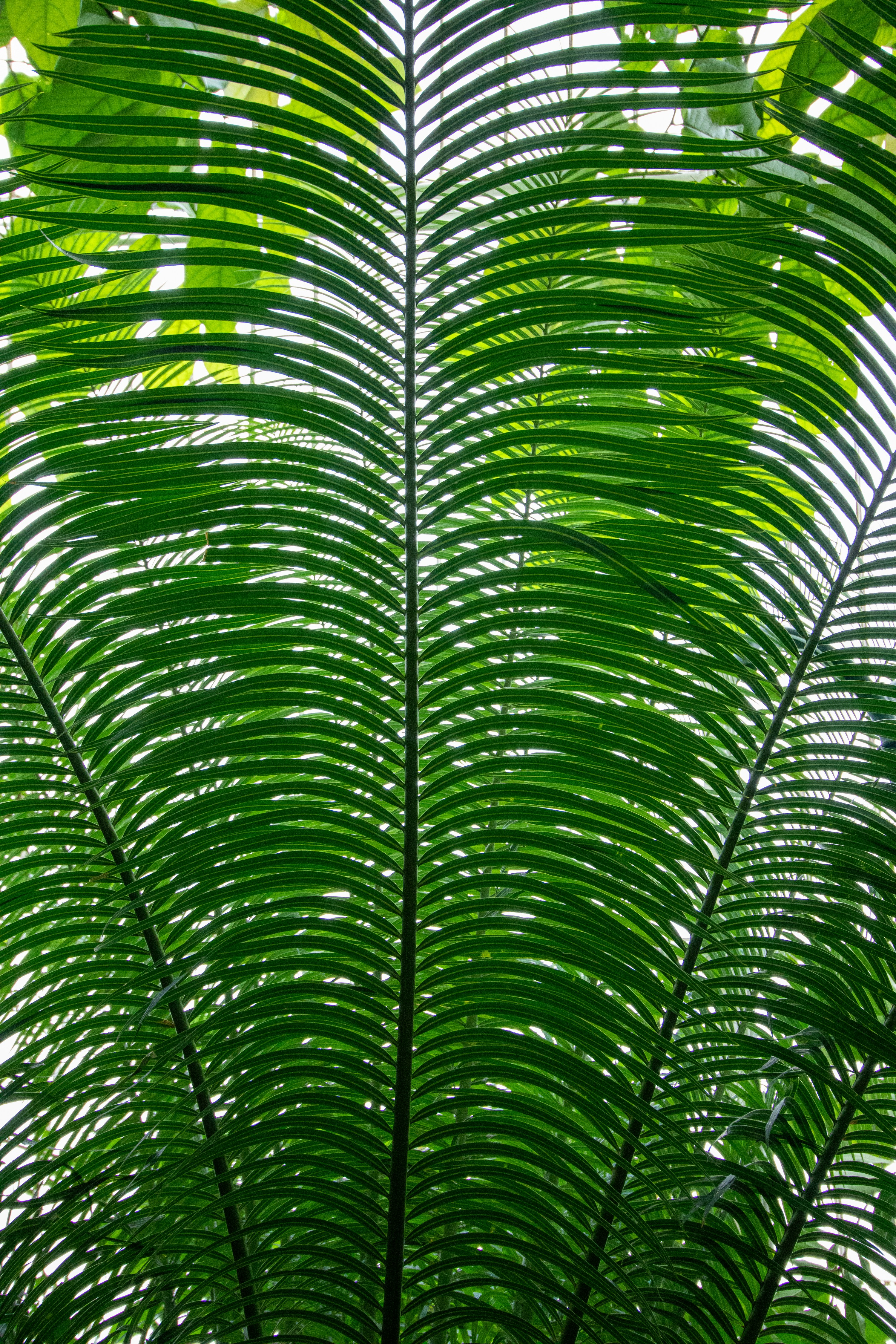 Photo by margarita30