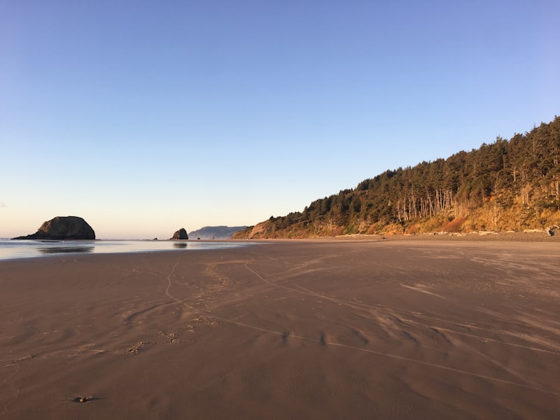 Pacific City Beach Oregon