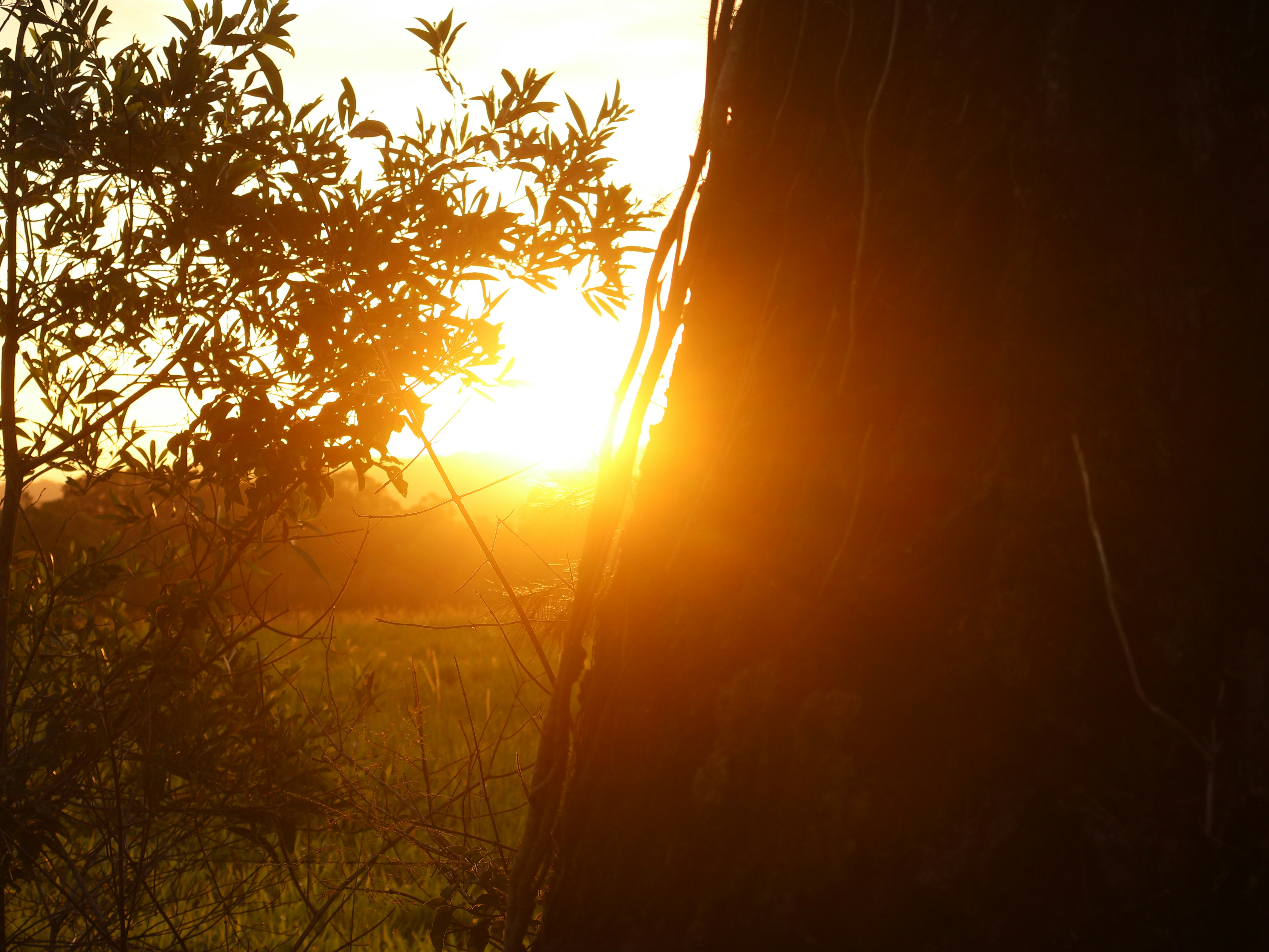 Photo by daniellawithoutane