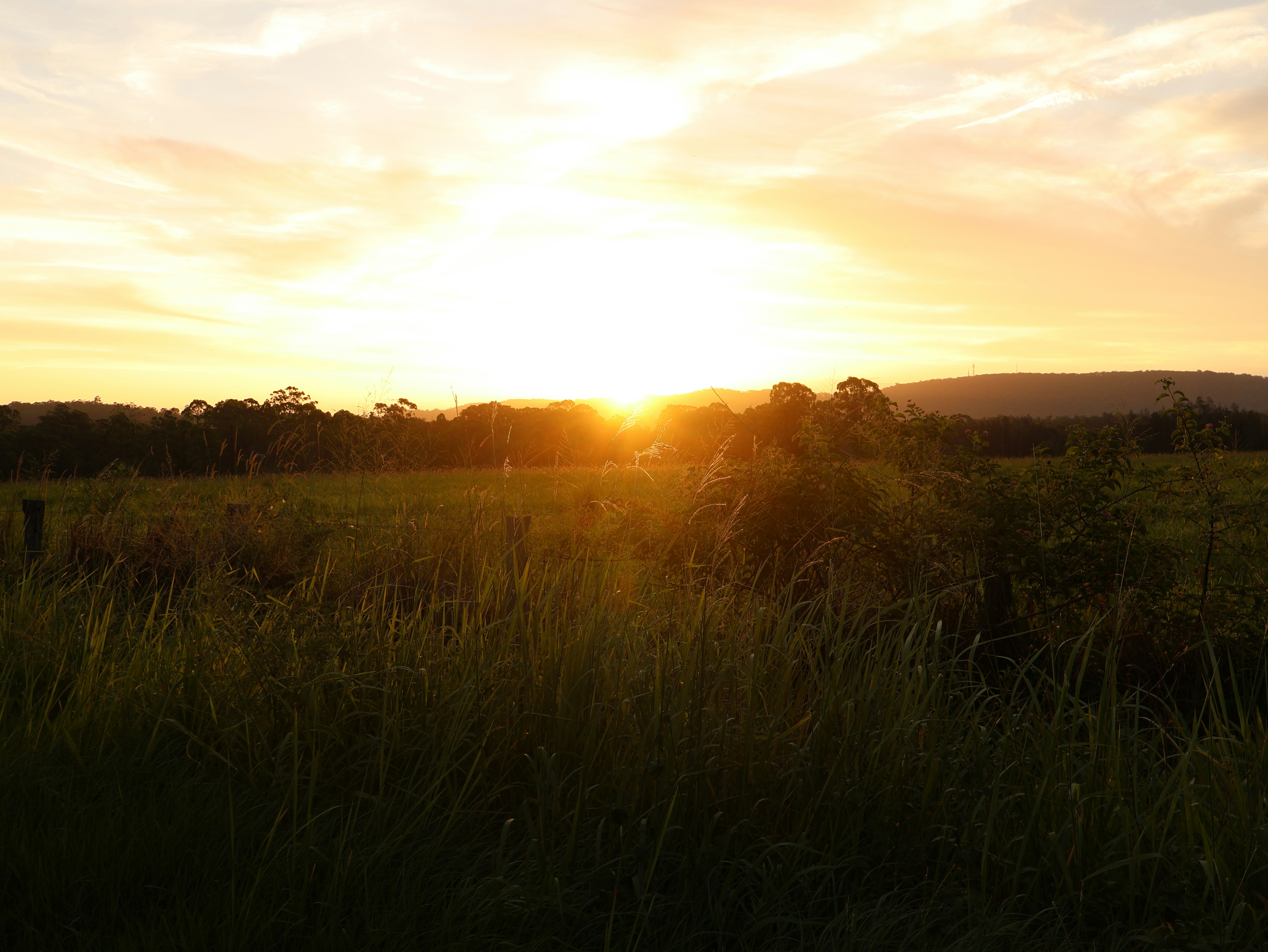 Photo by daniellawithoutane