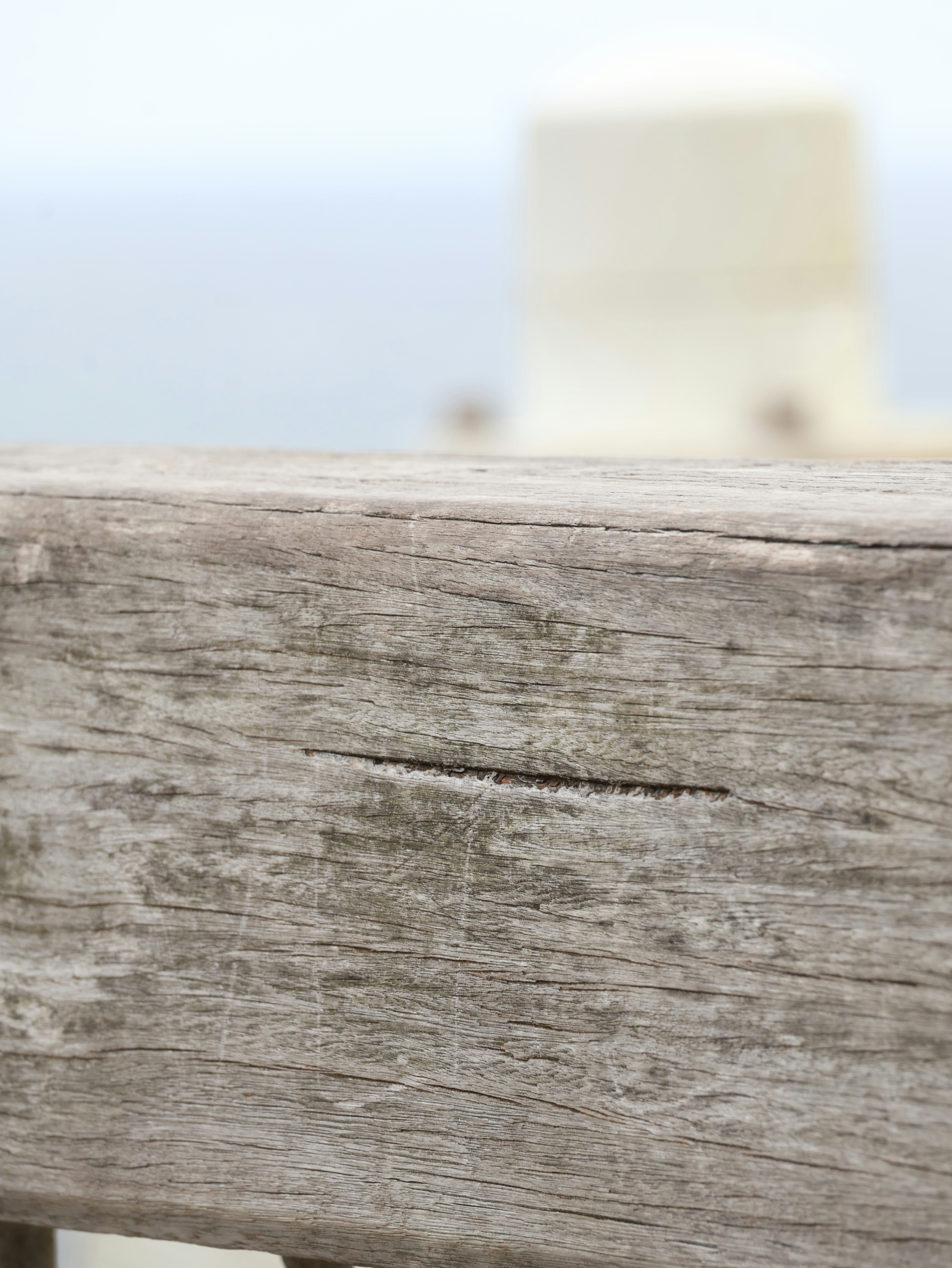 Photo by daniellawithoutane