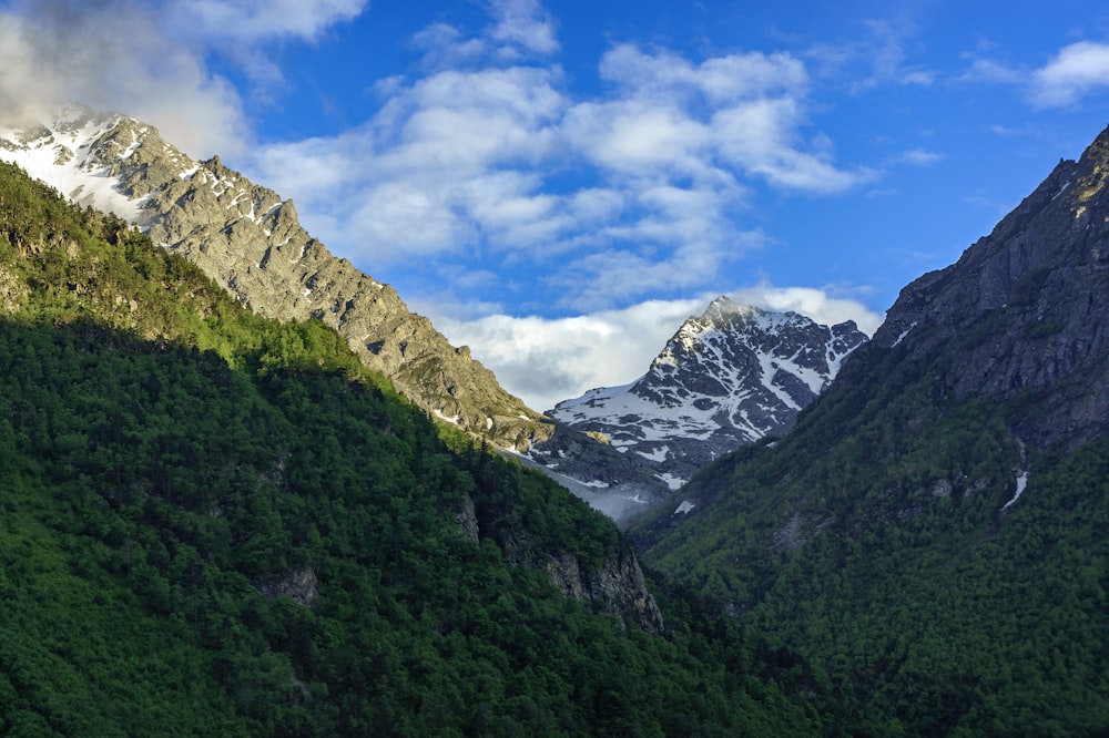 the mountains are covered in snow and green trees