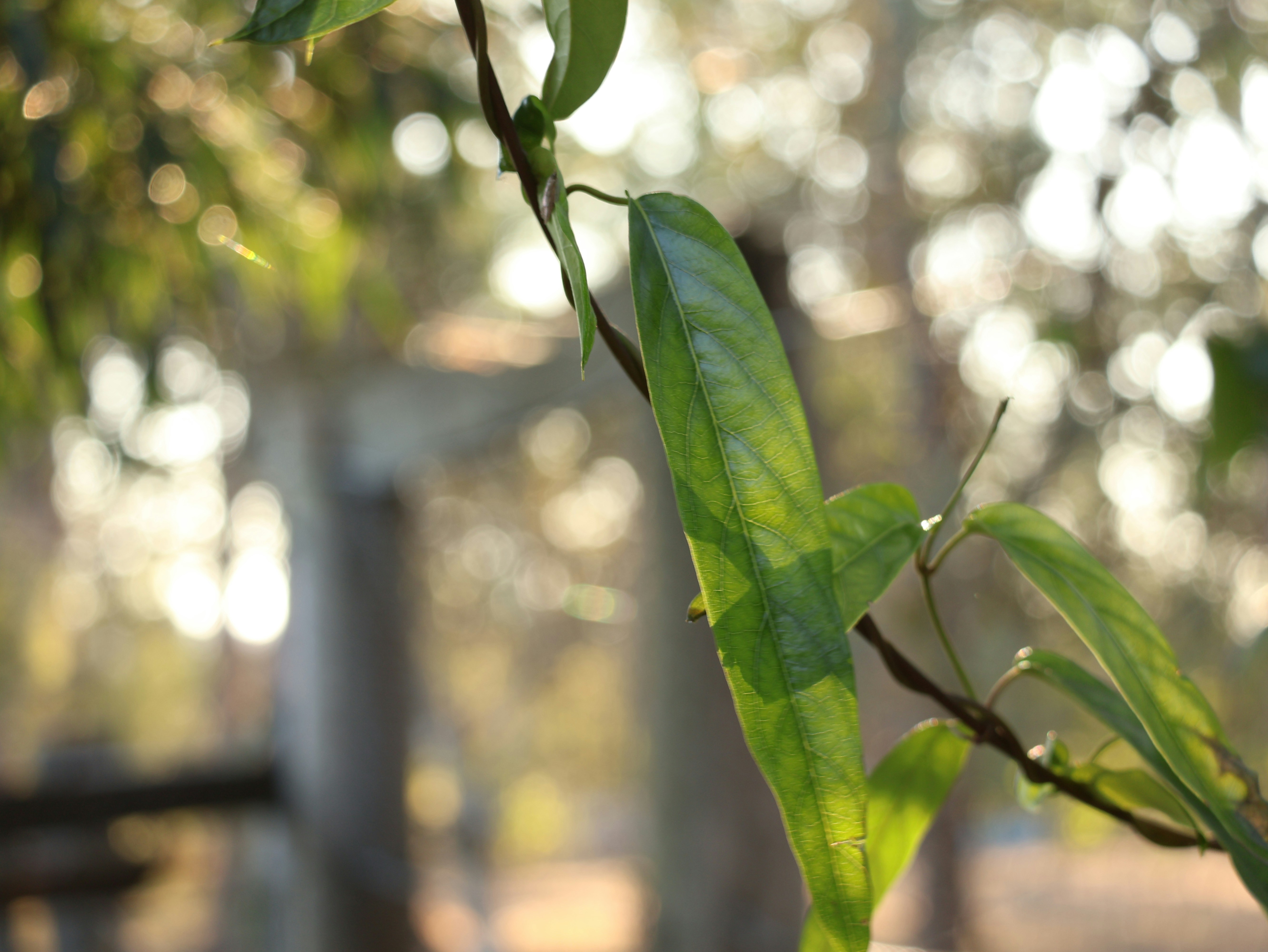 Photo by daniellawithoutane