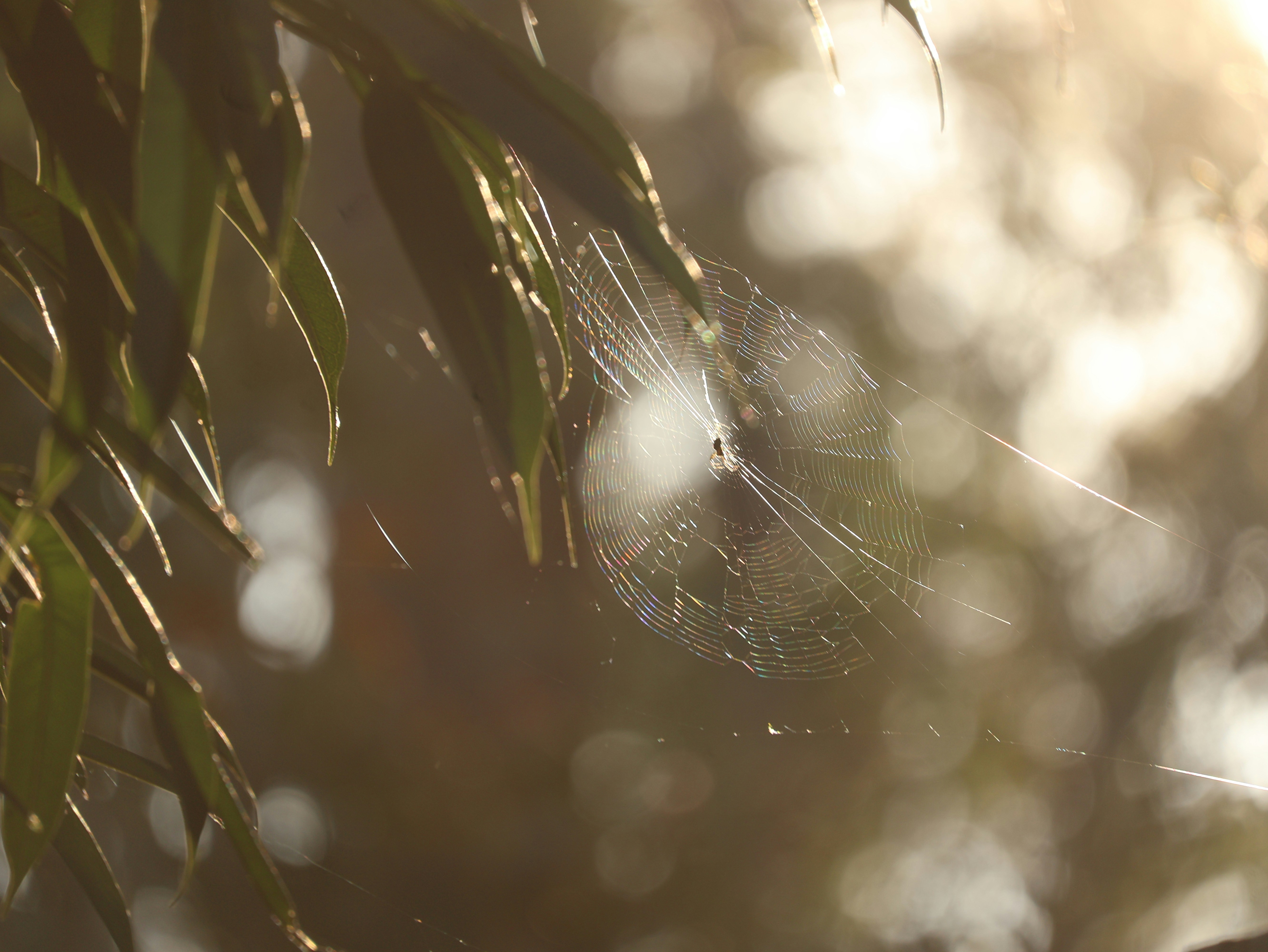 Photo by daniellawithoutane