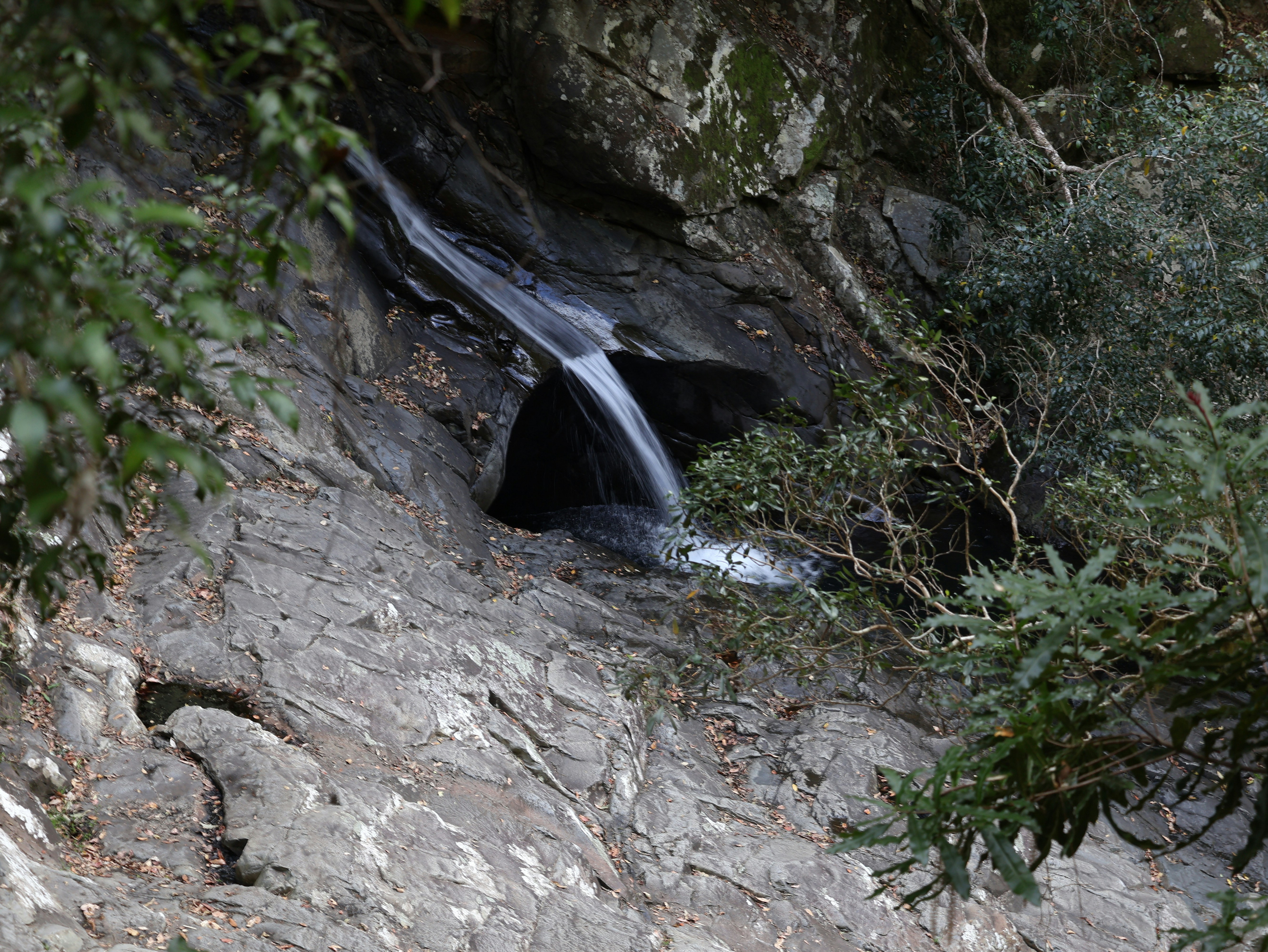 Photo by daniellawithoutane