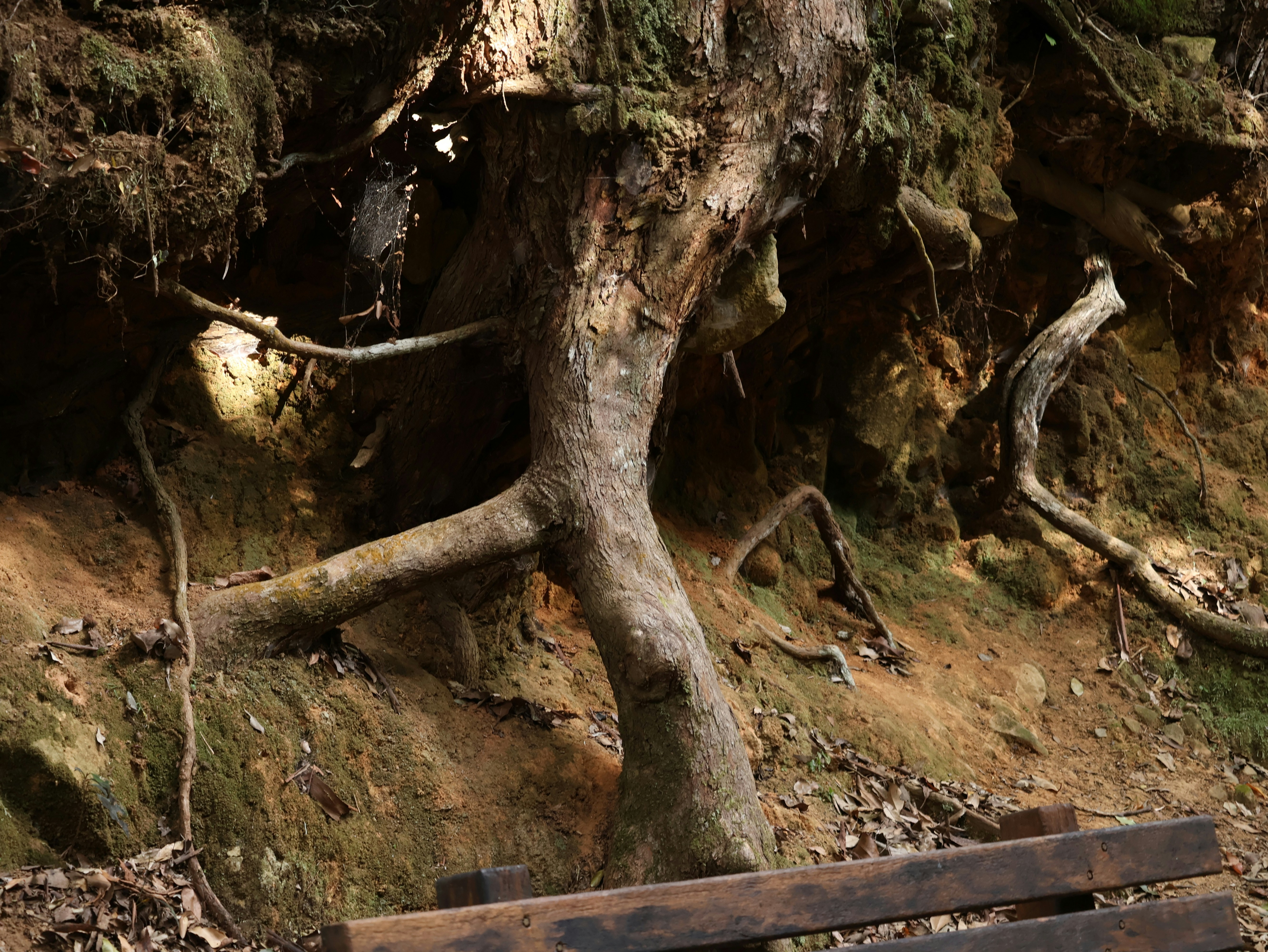 Photo by daniellawithoutane