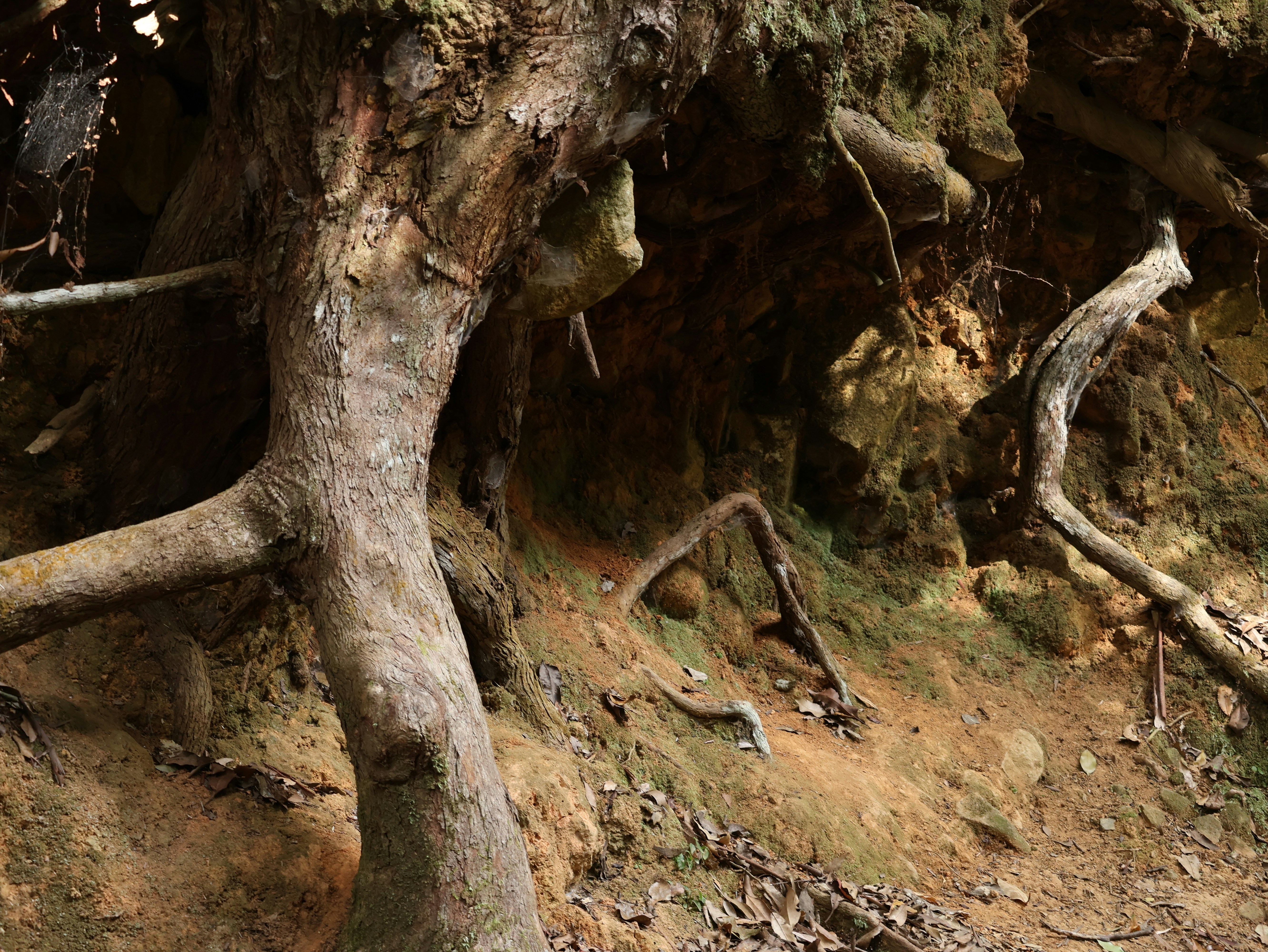 Photo by daniellawithoutane