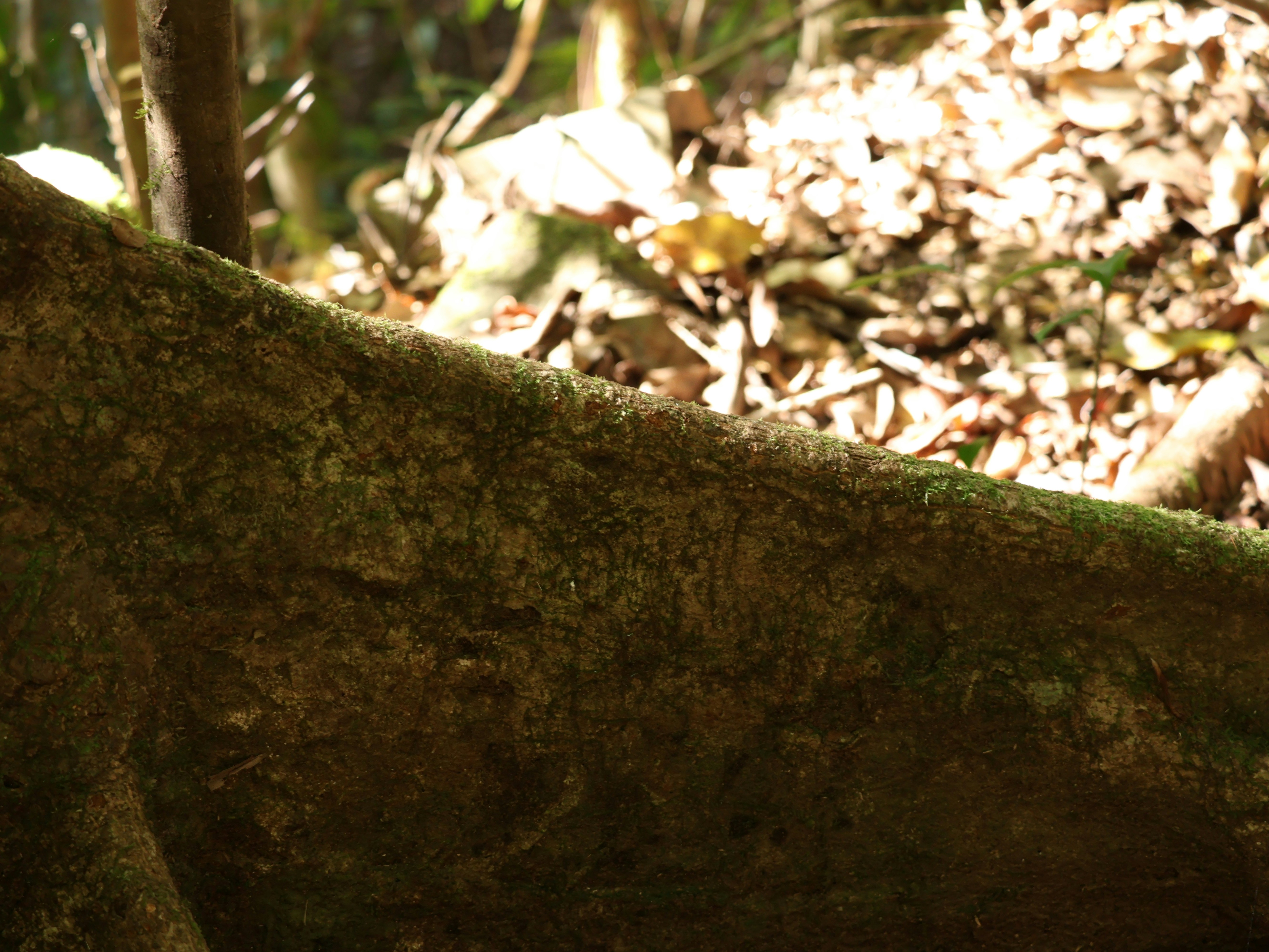 Photo by daniellawithoutane