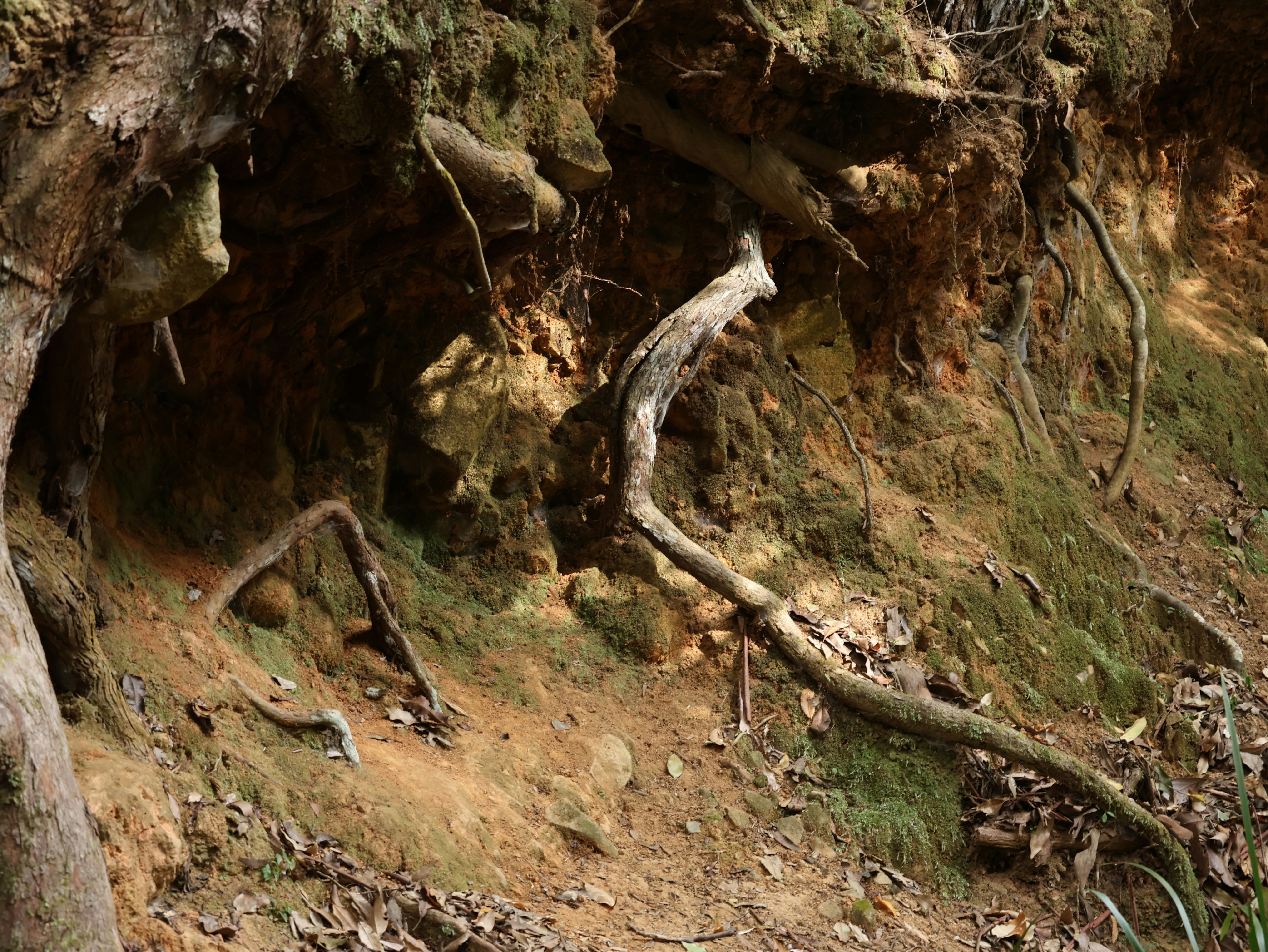 Photo by daniellawithoutane