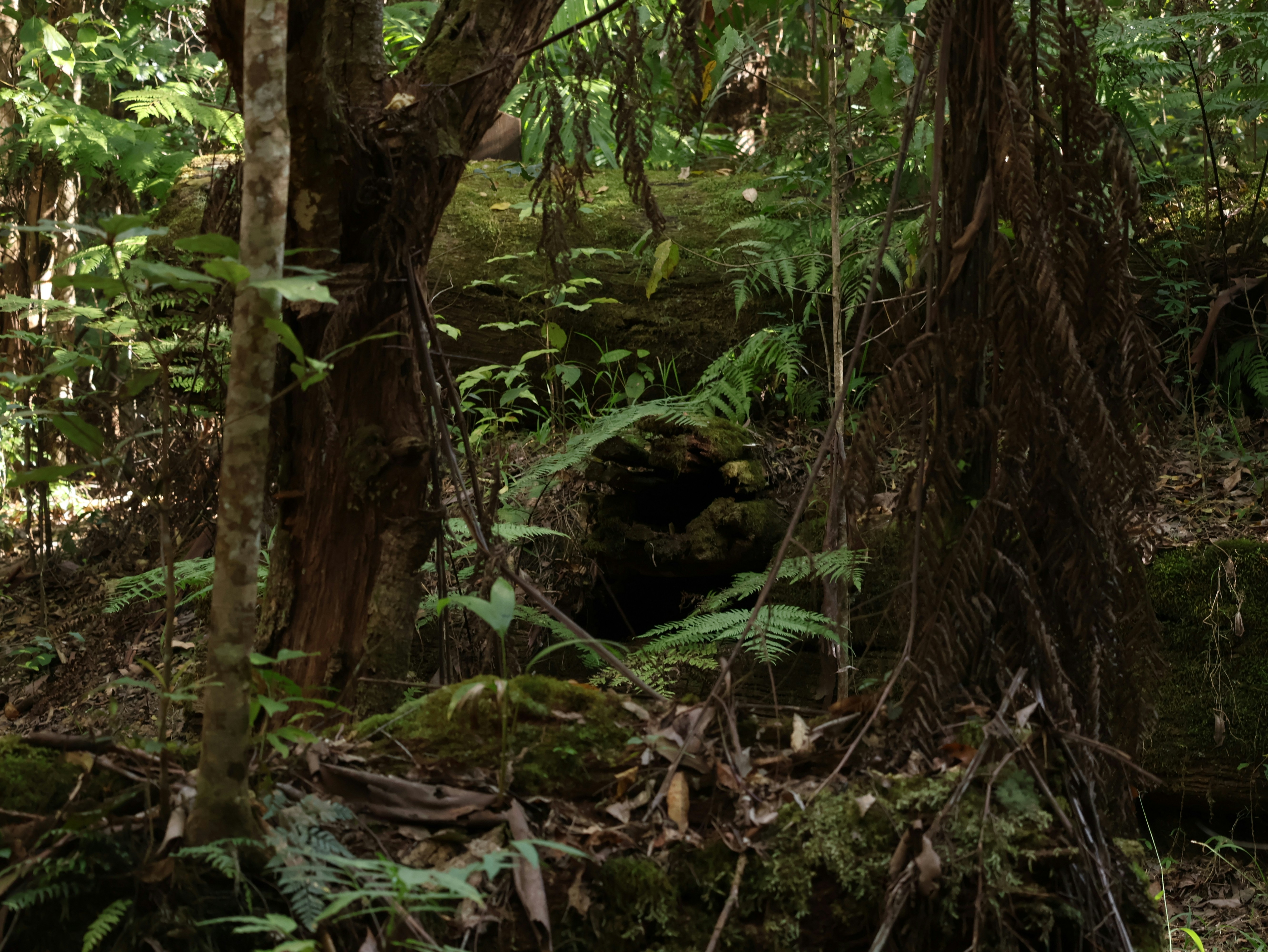 Photo by daniellawithoutane