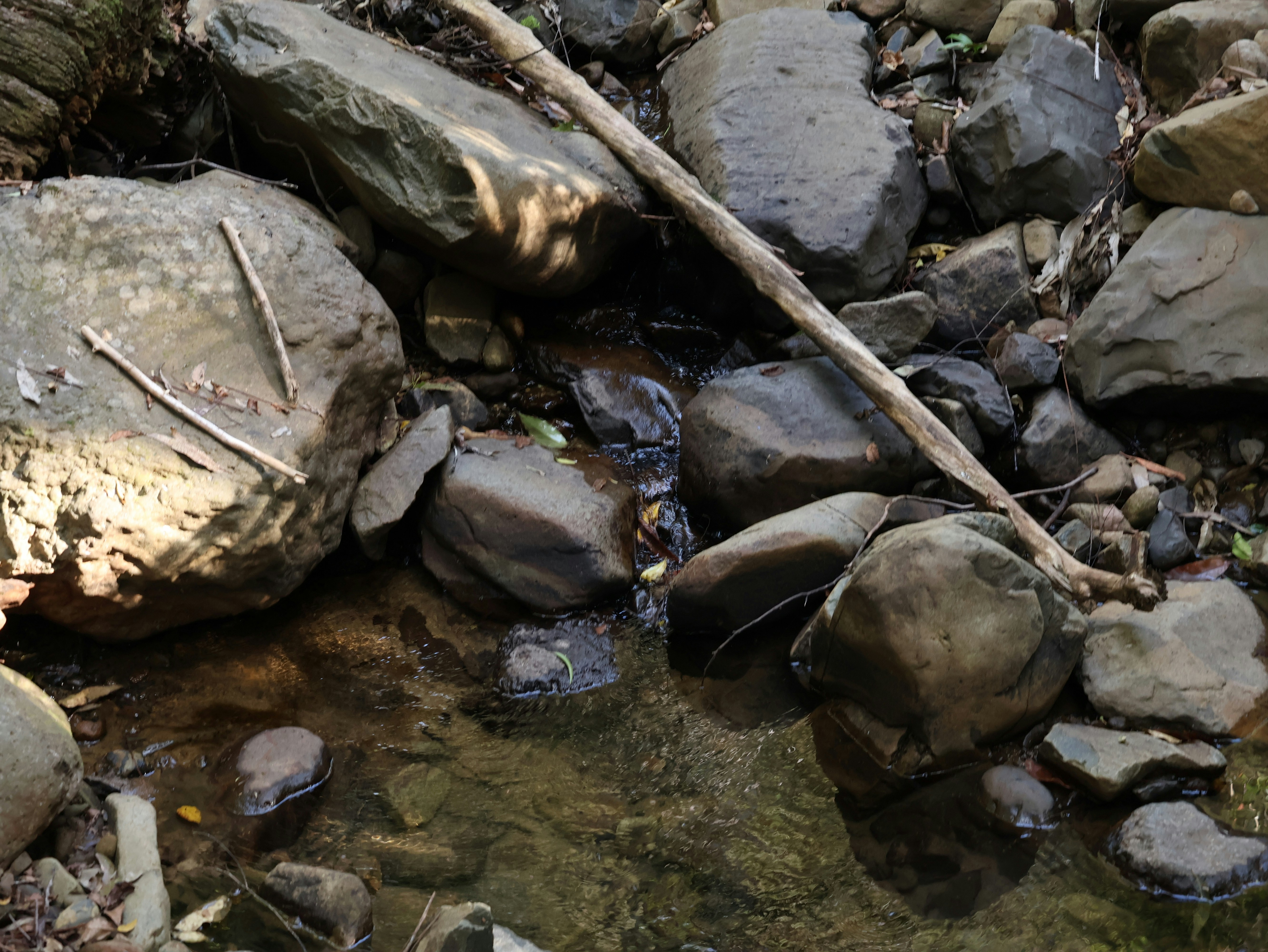 Photo by daniellawithoutane