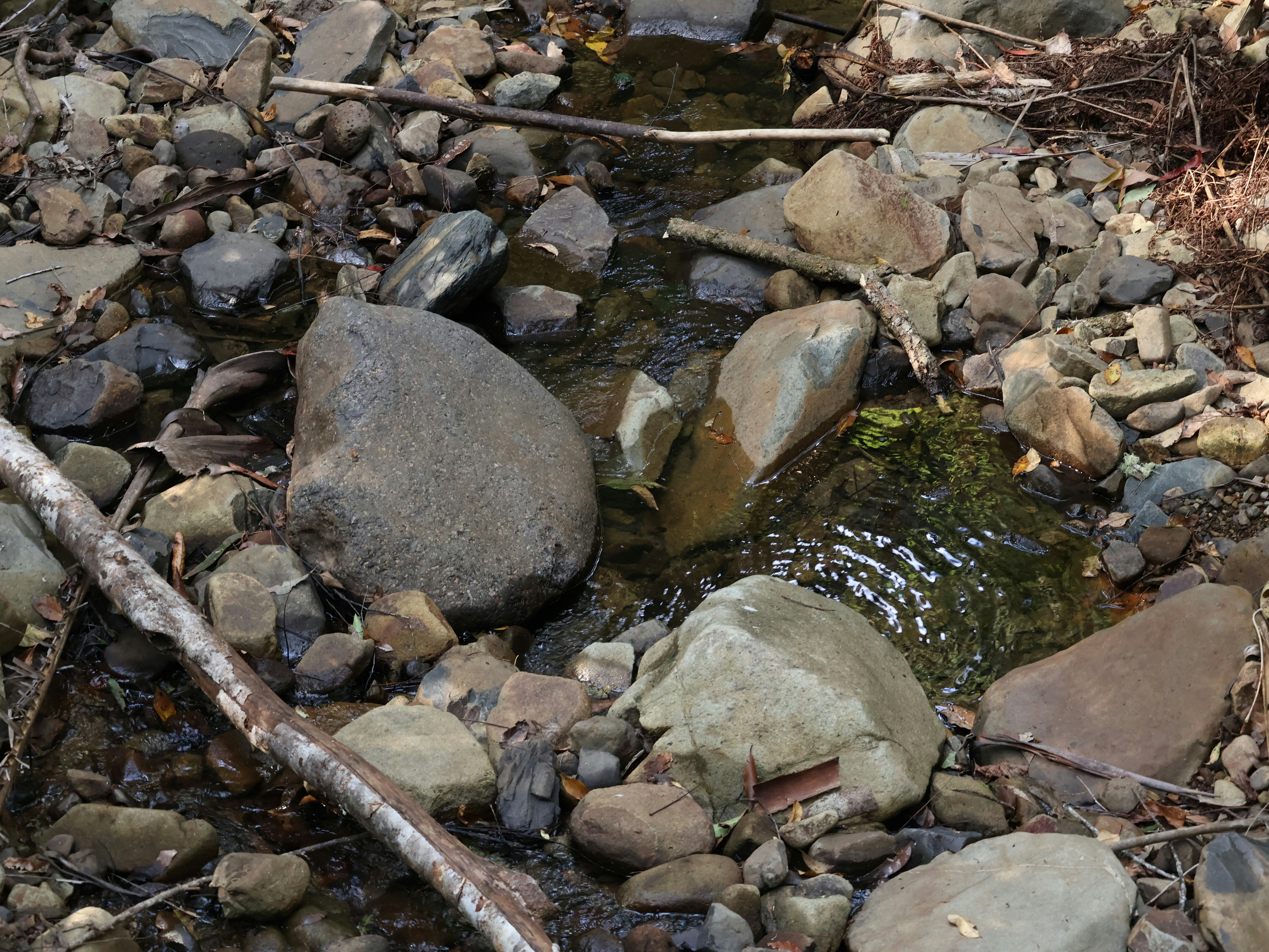 Photo by daniellawithoutane