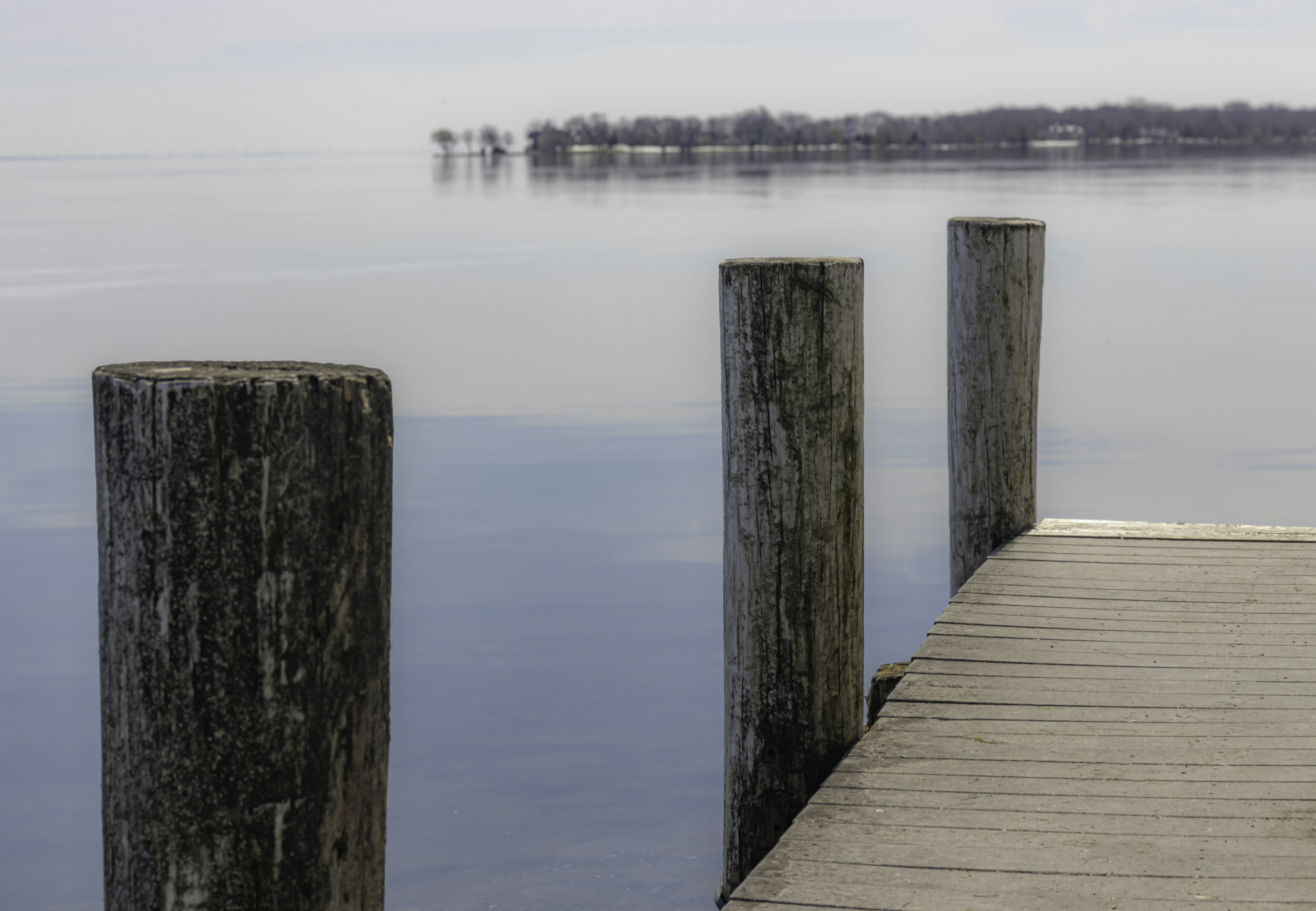 Photo by wisconsinislandgirl