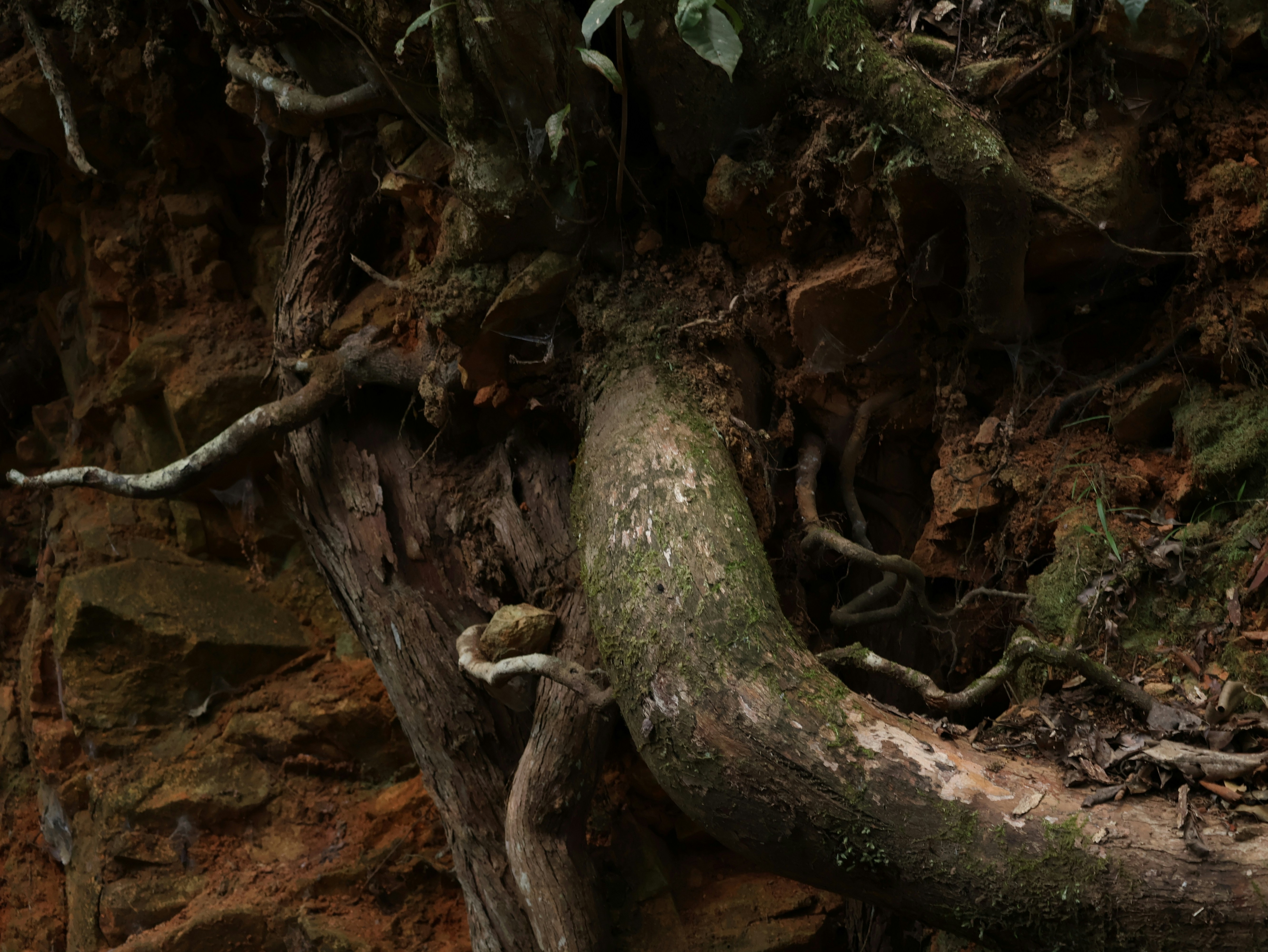 Photo by daniellawithoutane